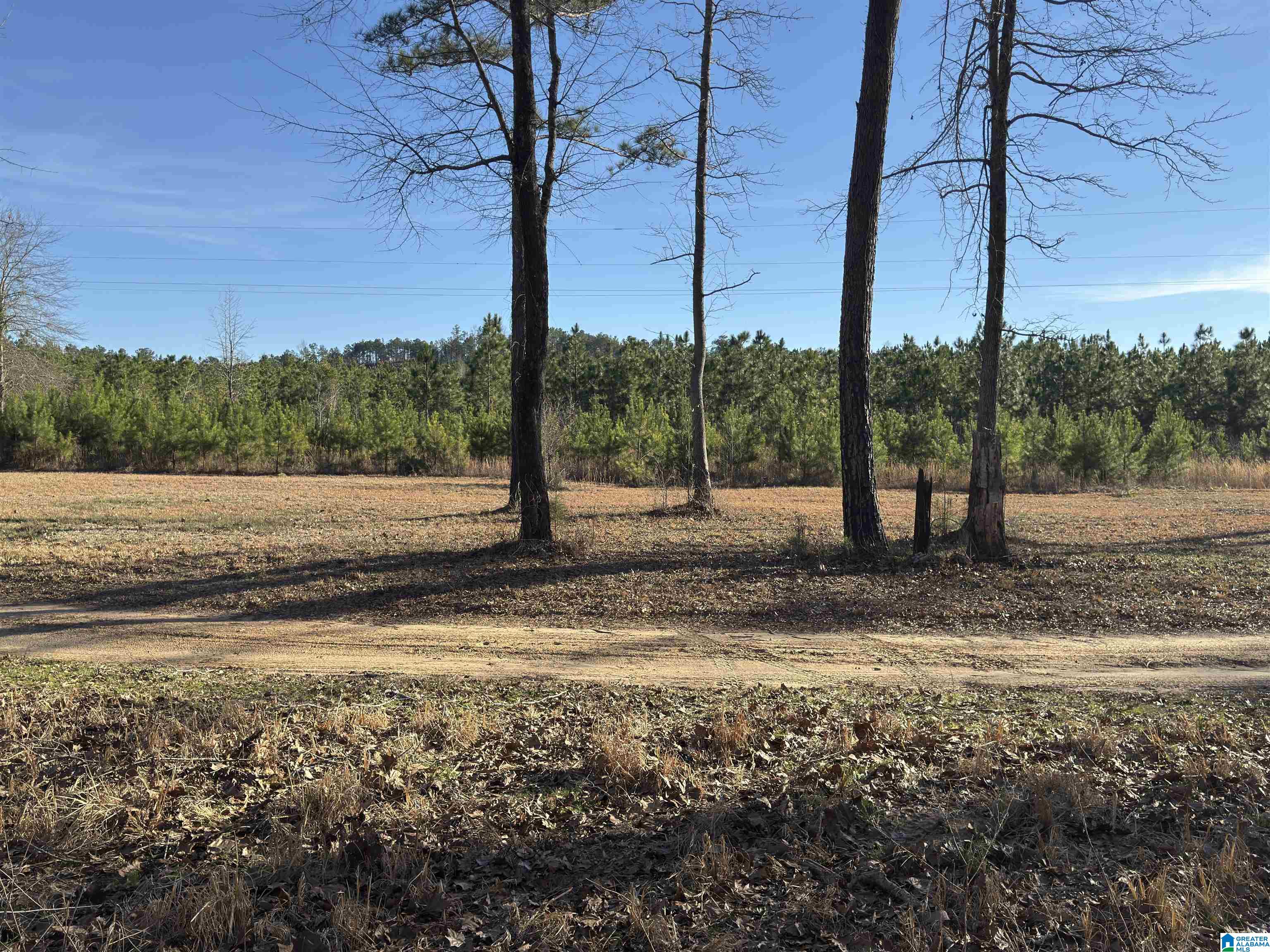 Homes for sale in Stanton, AL | 0 County Road 863, Stanton, AL 36750 | MLS# 21444088