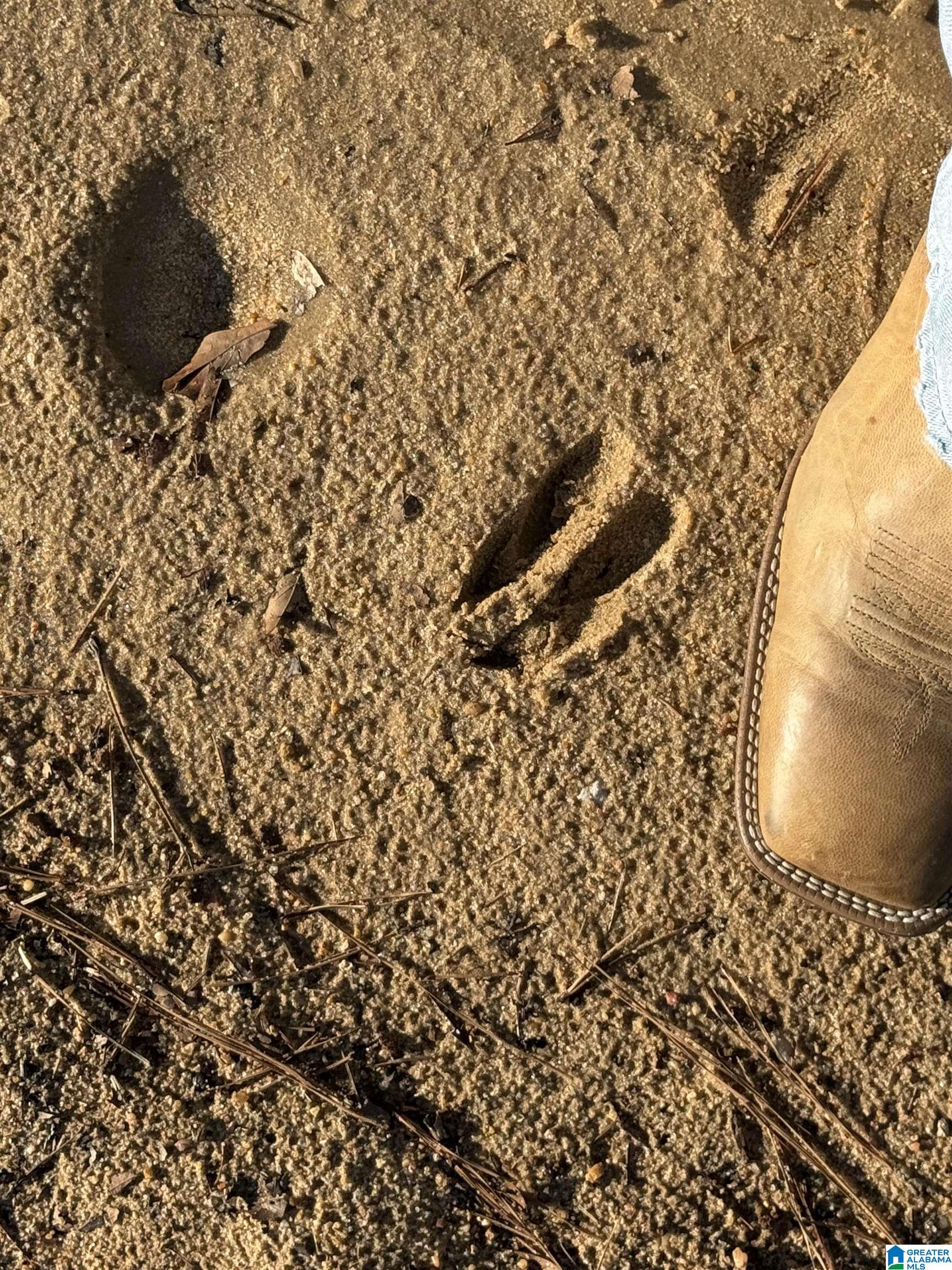 Homes for sale in Stanton, AL | 0 County Road 863, Stanton, AL 36750 | MLS# 21444088