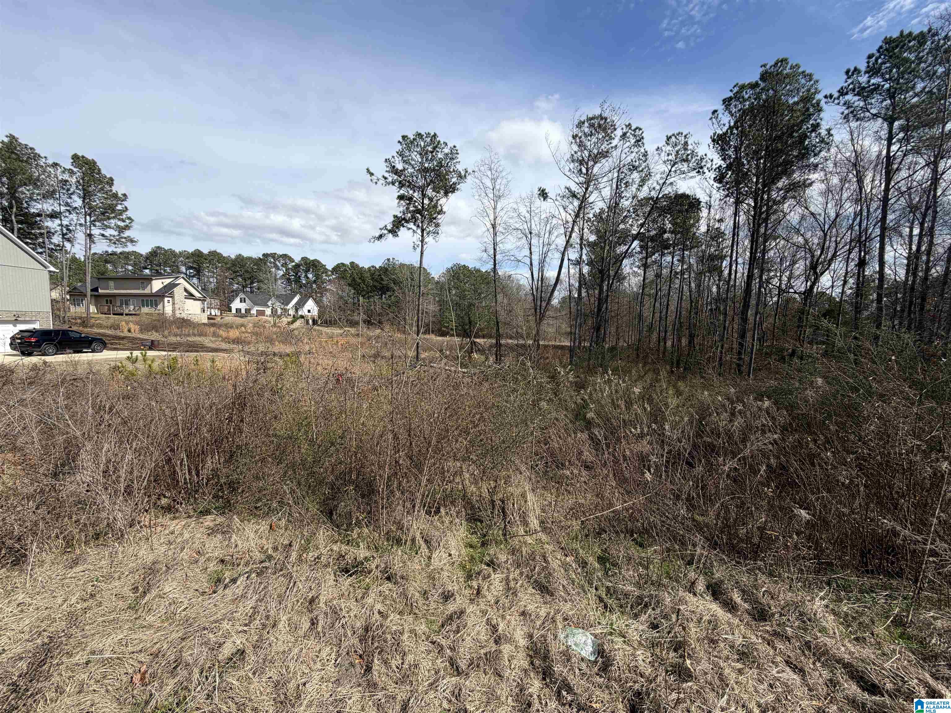 Homes for sale in Pell City, AL | 1116 Baylor Court, Pell City, AL 35128 | MLS# 21444091