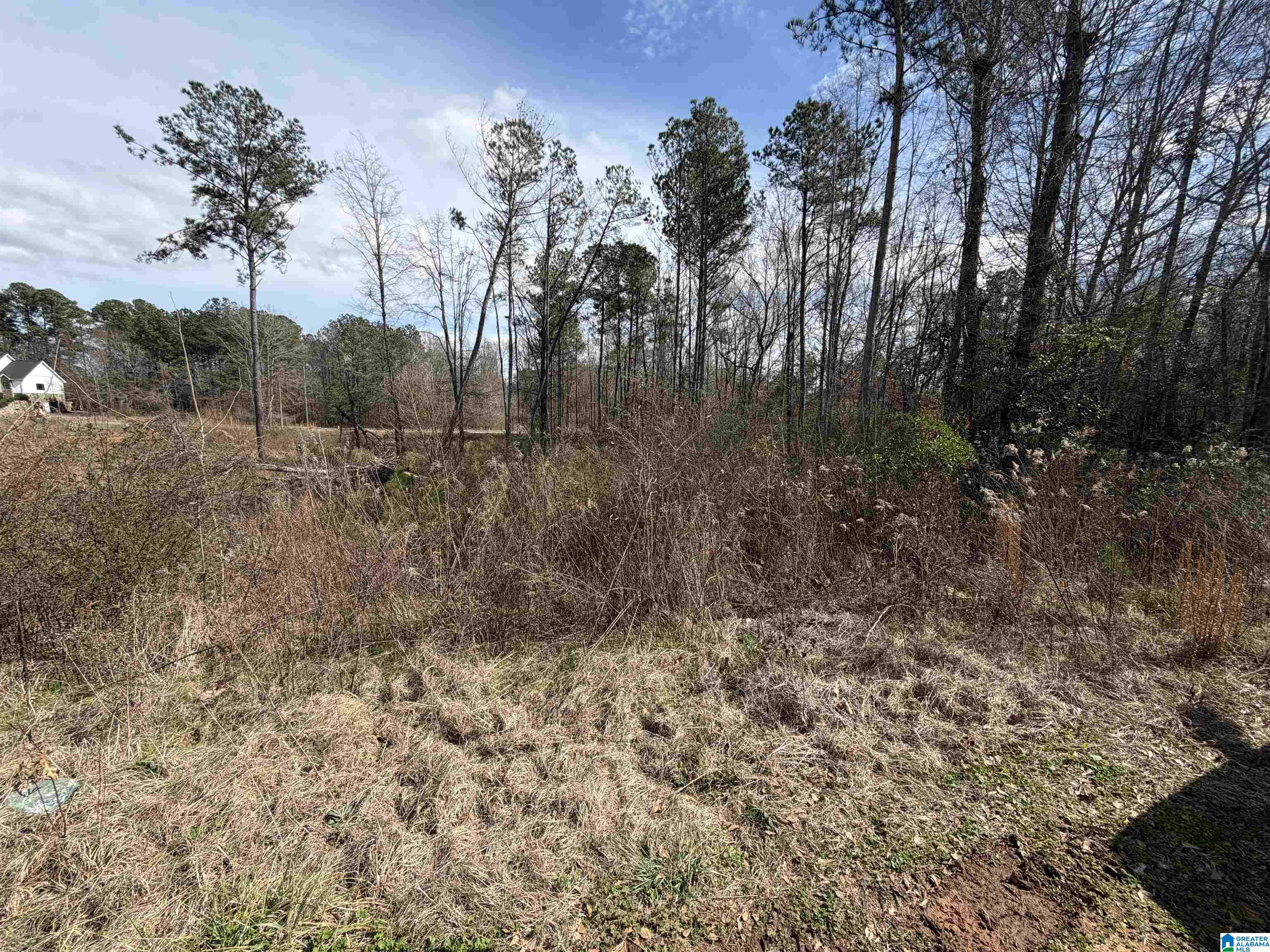 Homes for sale in Pell City, AL | 1116 Baylor Court, Pell City, AL 35128 | MLS# 21444091