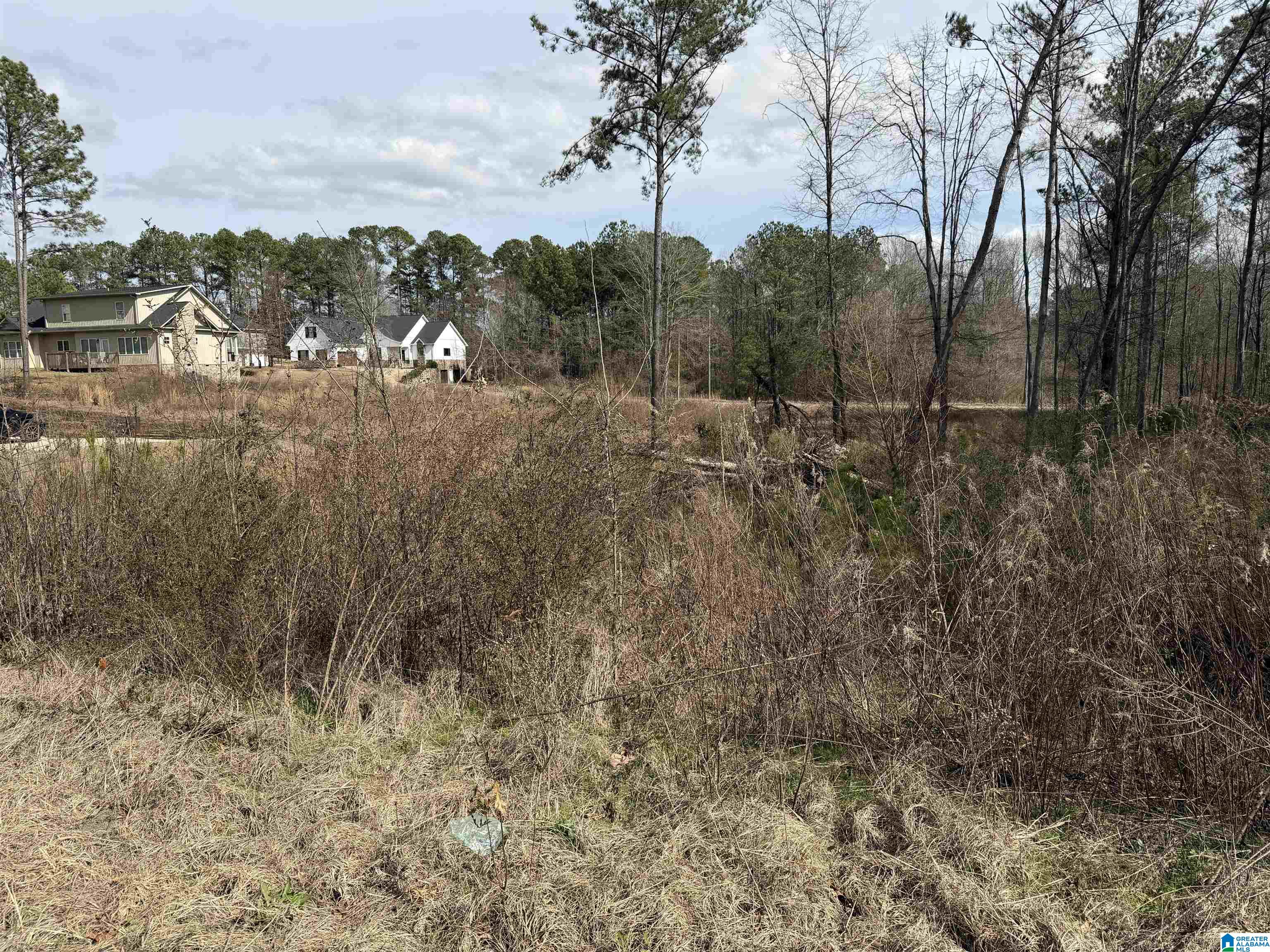 Homes for sale in Pell City, AL | 1116 Baylor Court, Pell City, AL 35128 | MLS# 21444091