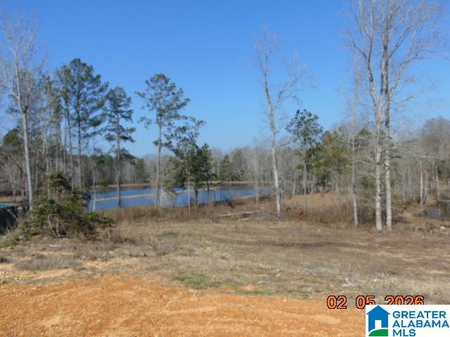 Homes for sale in Maplesville, AL | 178 County Road 10, Maplesville, AL 36750 | MLS# 21444110