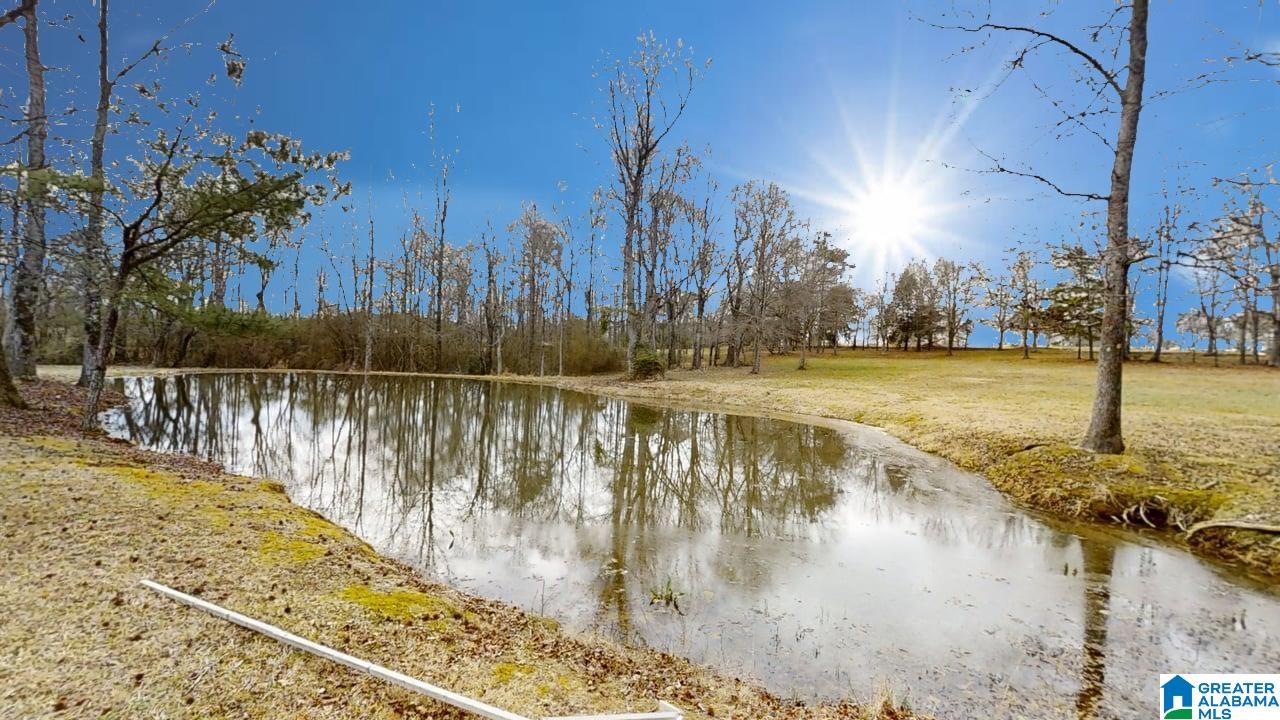 Homes for sale in Hanceville, AL | 417 County Road 537, Hanceville, AL 35077 | MLS# 21444121