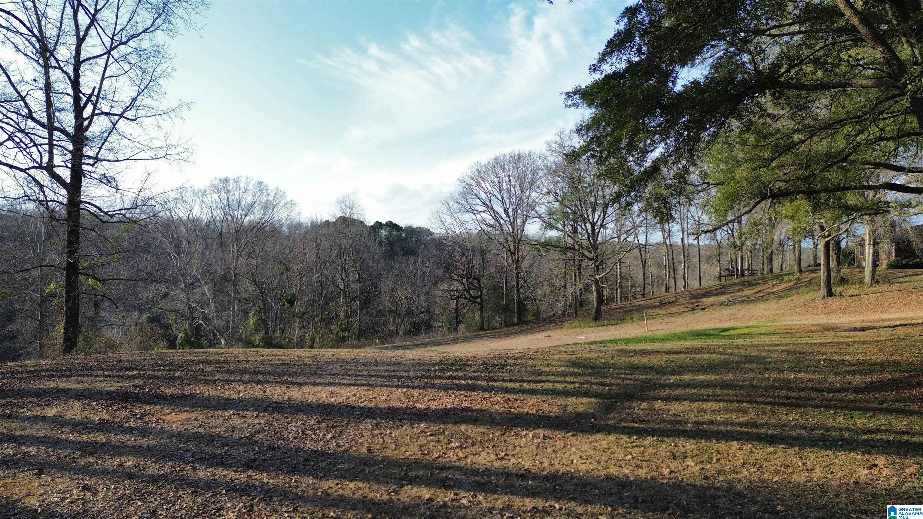 Homes for sale in Centreville, AL | 129 Briarwood Terrace, Centreville, AL 35042 | MLS# 21444122