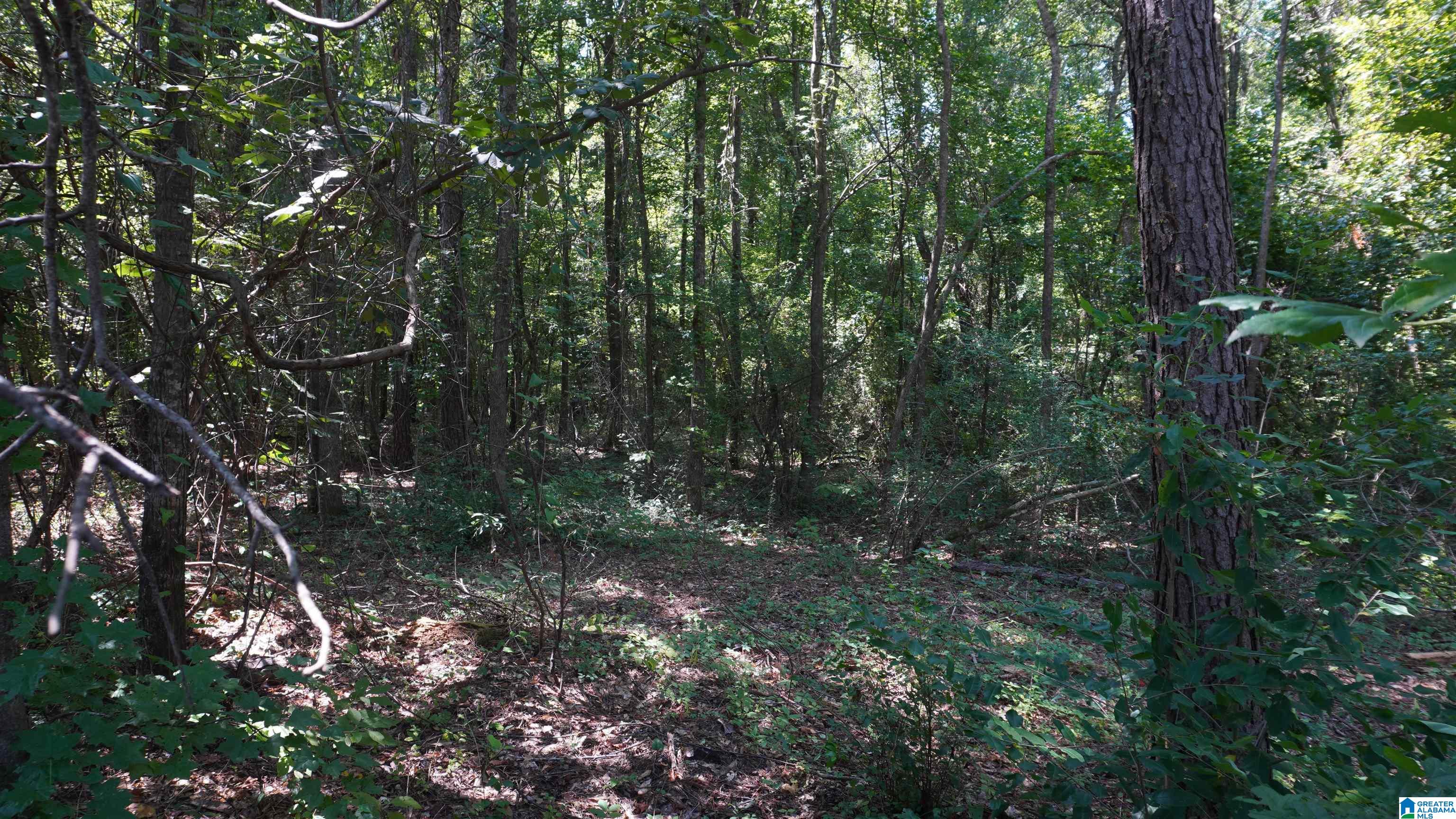 Homes for sale in Tuscaloosa, AL | 2911 Stardust Dr, Tuscaloosa, AL 35405 | MLS# 21444147