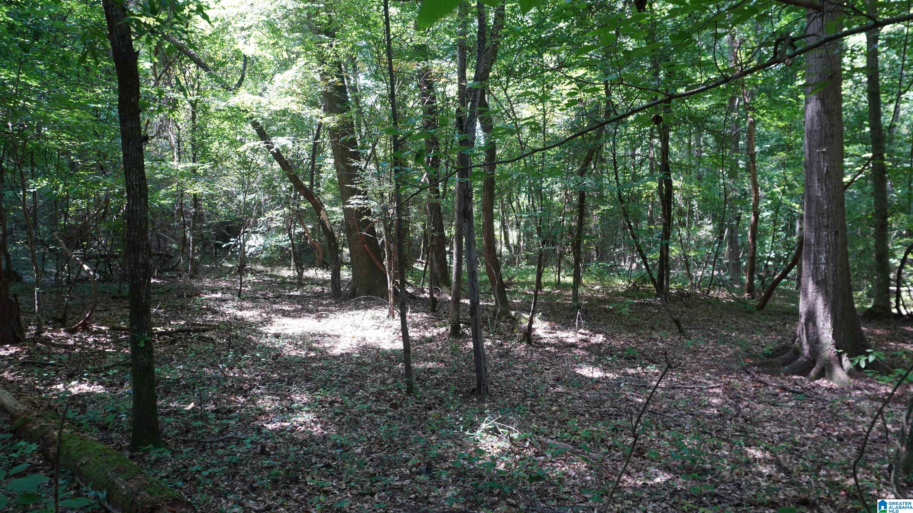 Homes for sale in Tuscaloosa, AL | 2911 Stardust Dr, Tuscaloosa, AL 35405 | MLS# 21444147