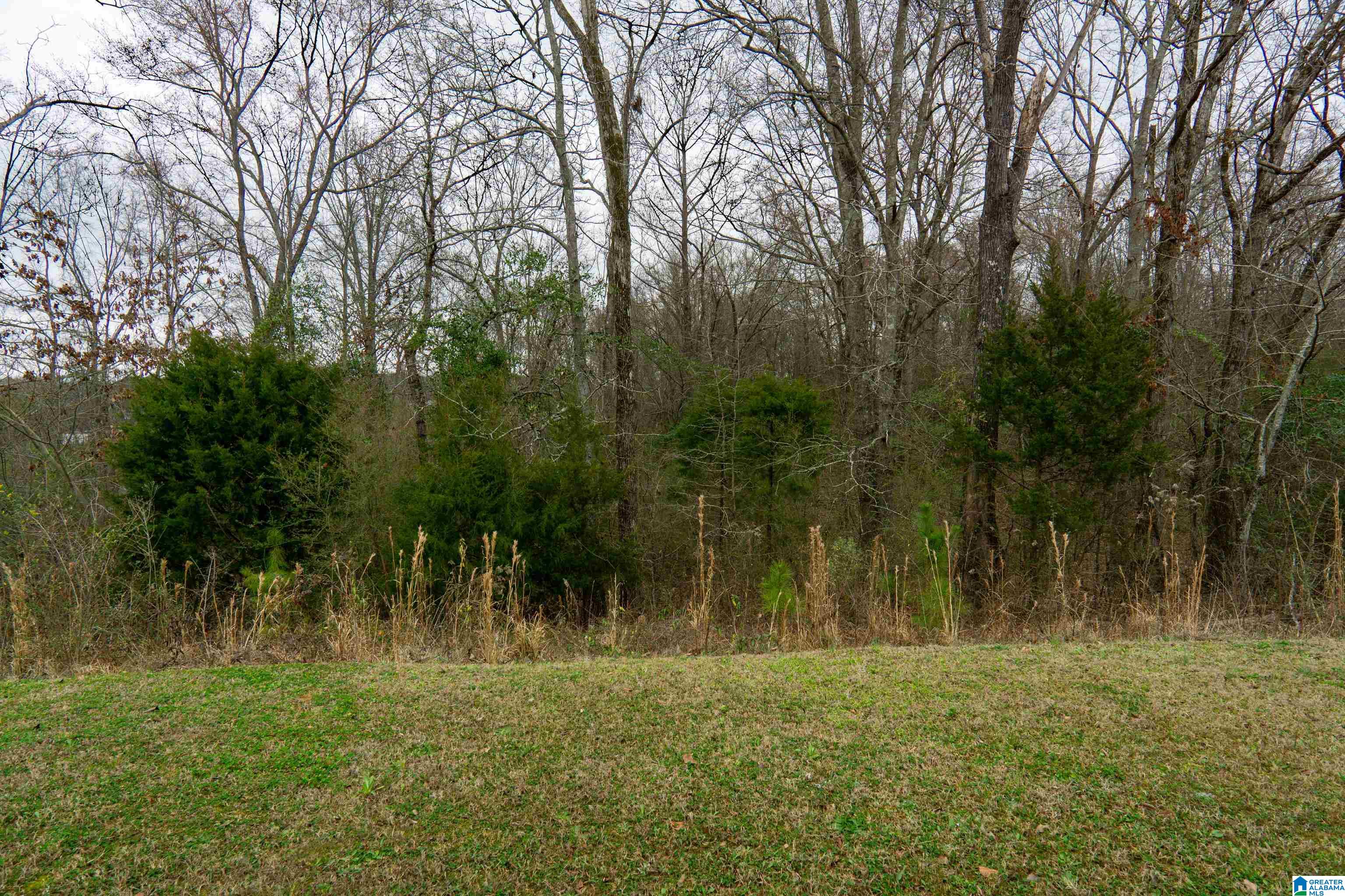 Homes for sale in Lincoln, AL | 241 Highland View Dr, Lincoln, AL 35096 | MLS# 21444149