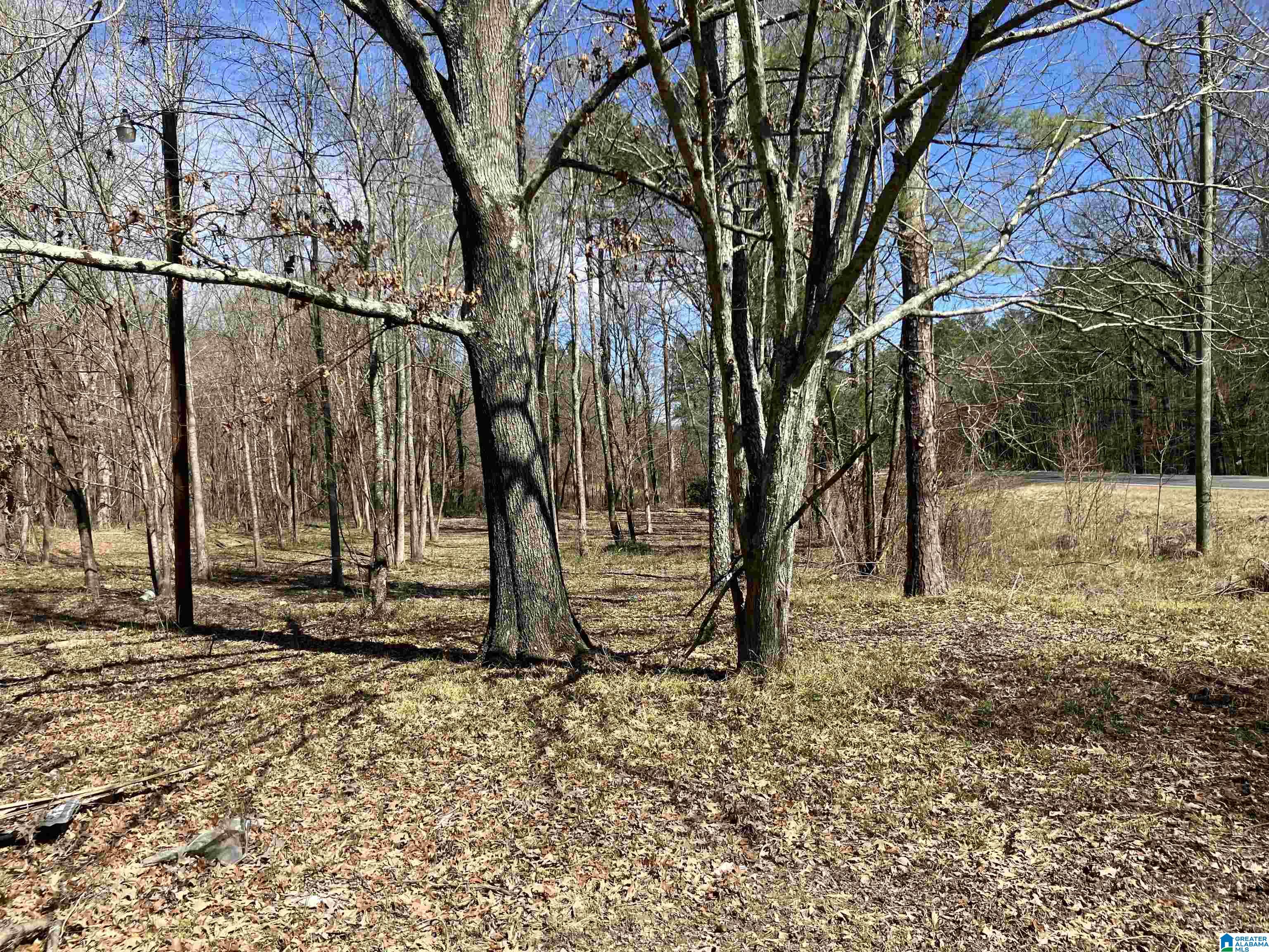 Homes for sale in Steele, AL | 4639 Pope Avenue, Steele, AL 35987 | MLS# 21444154