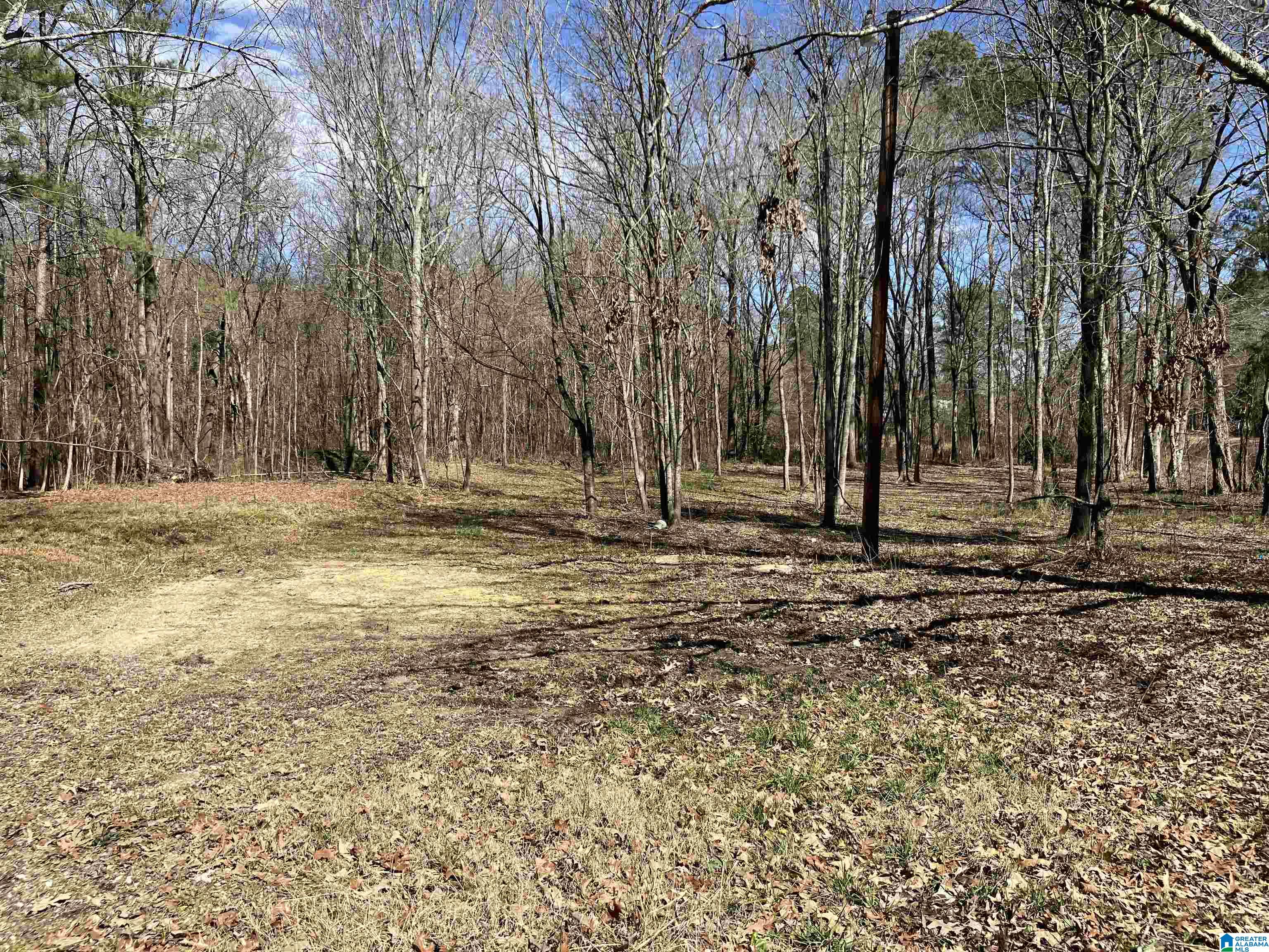 Homes for sale in Steele, AL | 4639 Pope Avenue, Steele, AL 35987 | MLS# 21444154