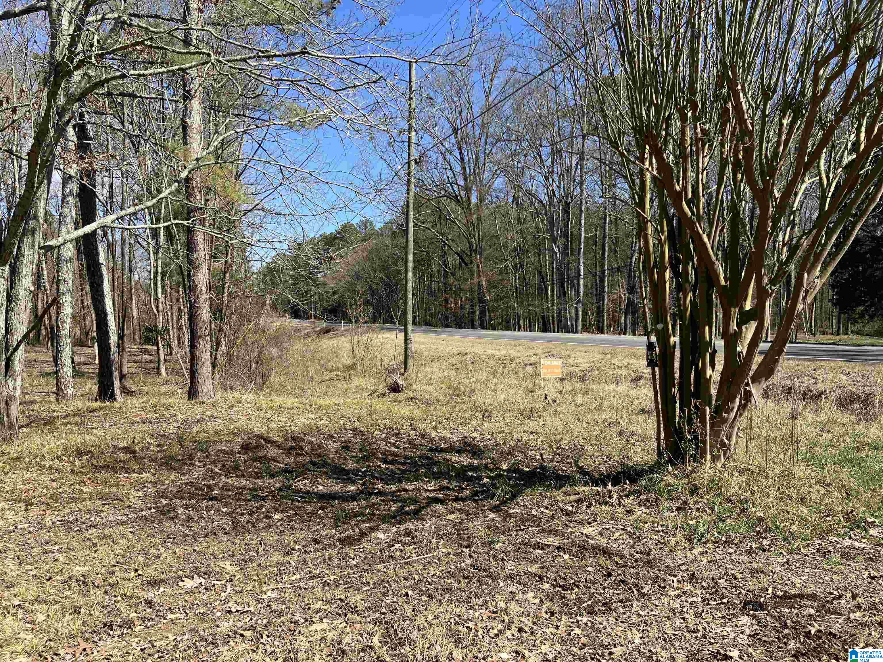 Homes for sale in Steele, AL | 4639 Pope Avenue, Steele, AL 35987 | MLS# 21444154