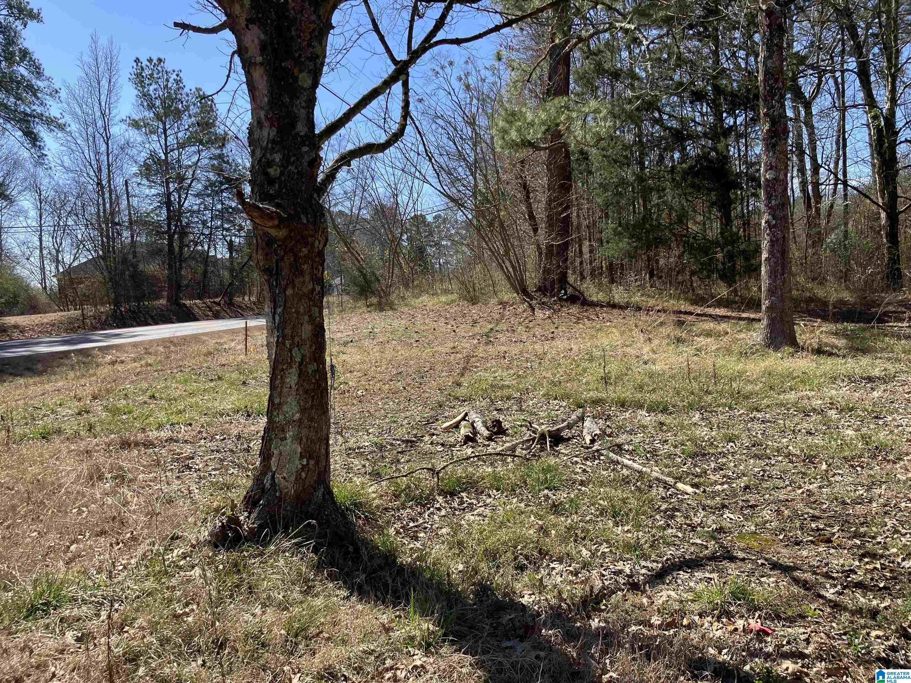 Homes for sale in Steele, AL | 4639 Pope Avenue, Steele, AL 35987 | MLS# 21444154