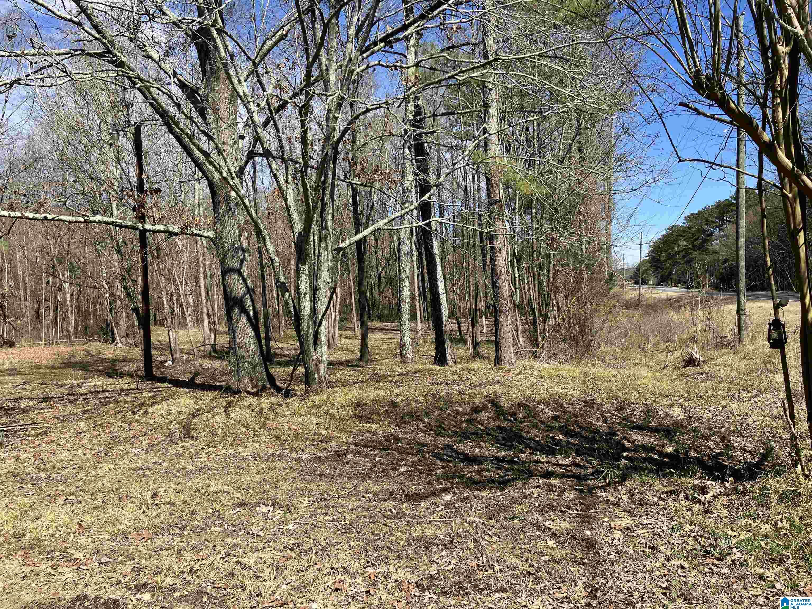 Homes for sale in Steele, AL | 4639 Pope Avenue, Steele, AL 35987 | MLS# 21444154