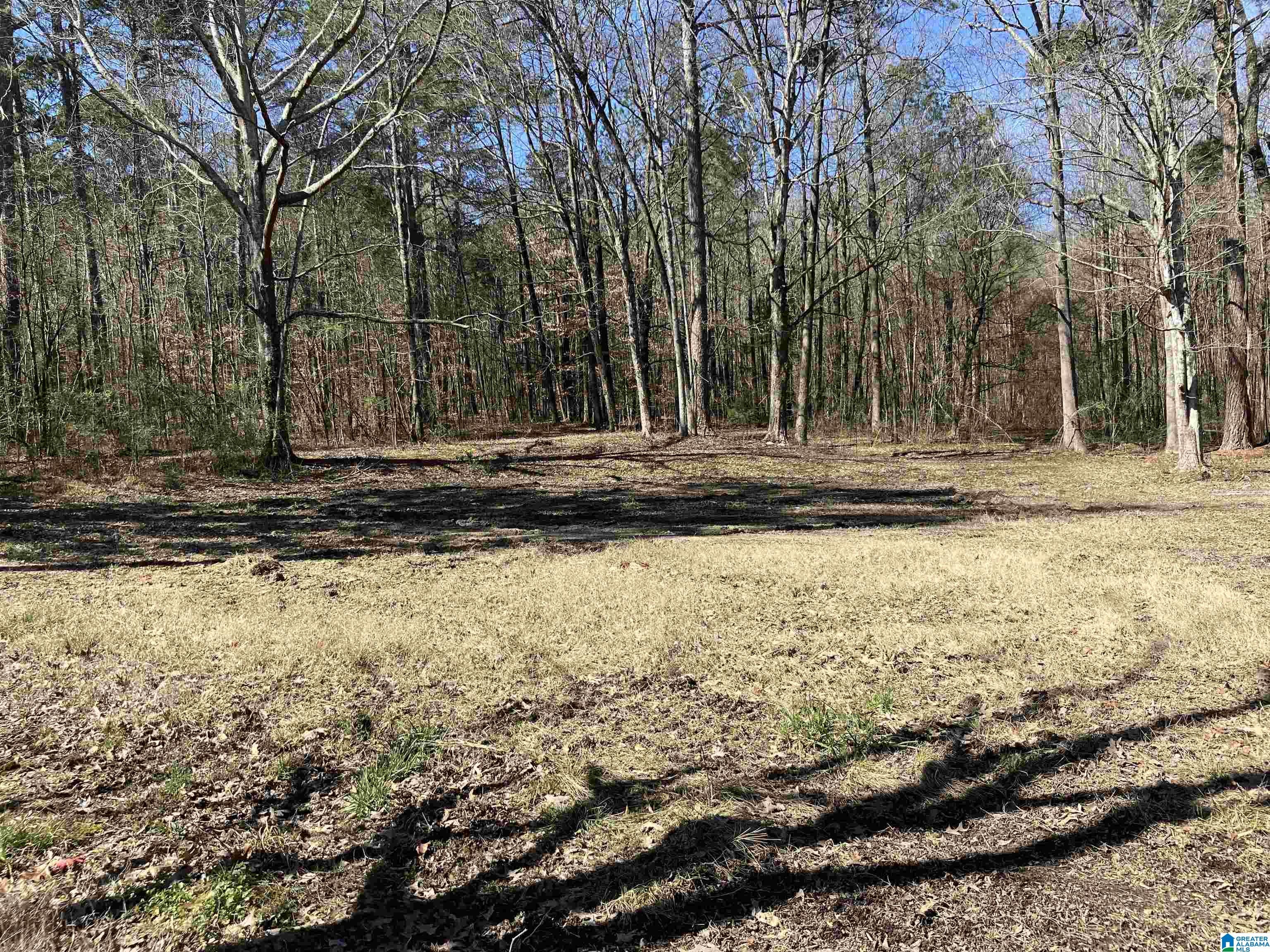 Homes for sale in Steele, AL | 4639 Pope Avenue, Steele, AL 35987 | MLS# 21444154