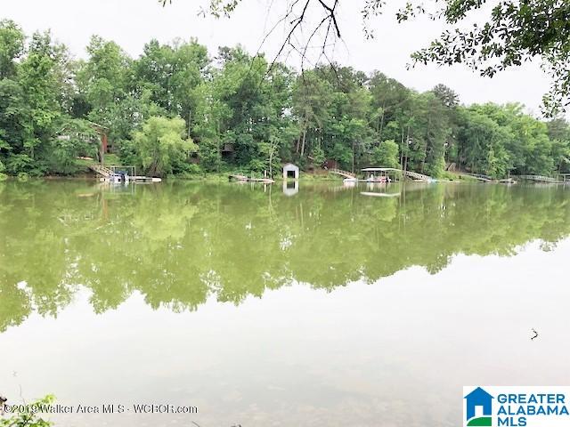 Homes for sale in Crane Hill, AL | 0 County Road 950, Crane Hill, AL 35053 | MLS# 21444160