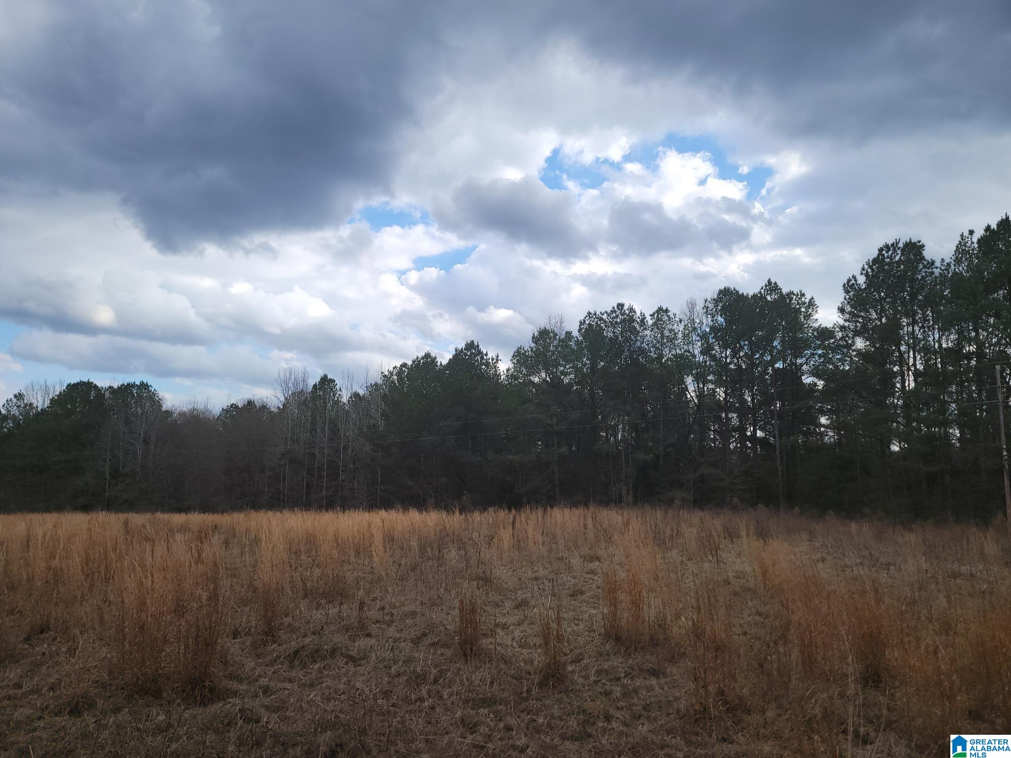 0 COUNTY ROAD 15