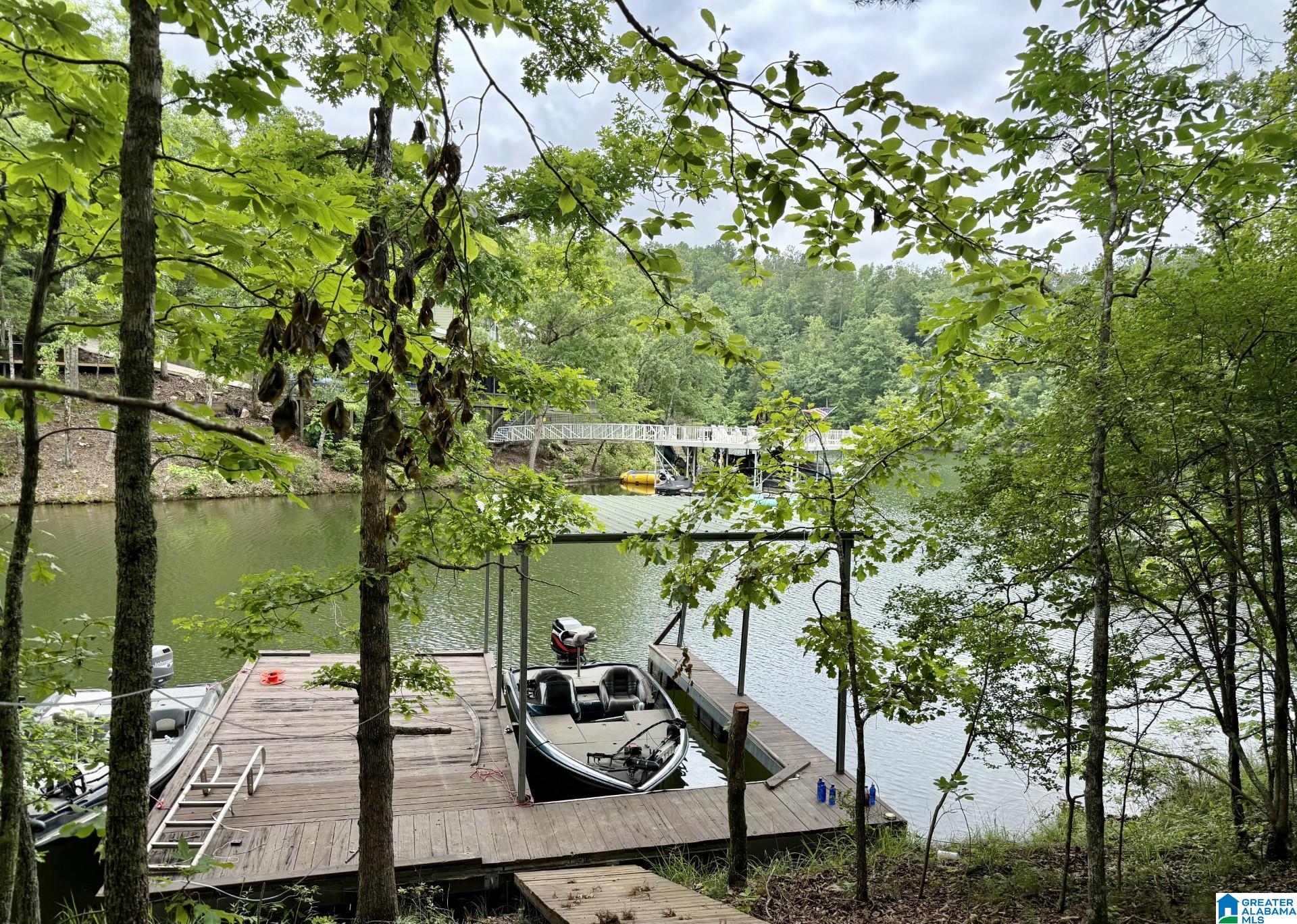 Homes for sale in Wedowee, AL | Ginhouse Point, Wedowee, AL 36278 | MLS# 21444183