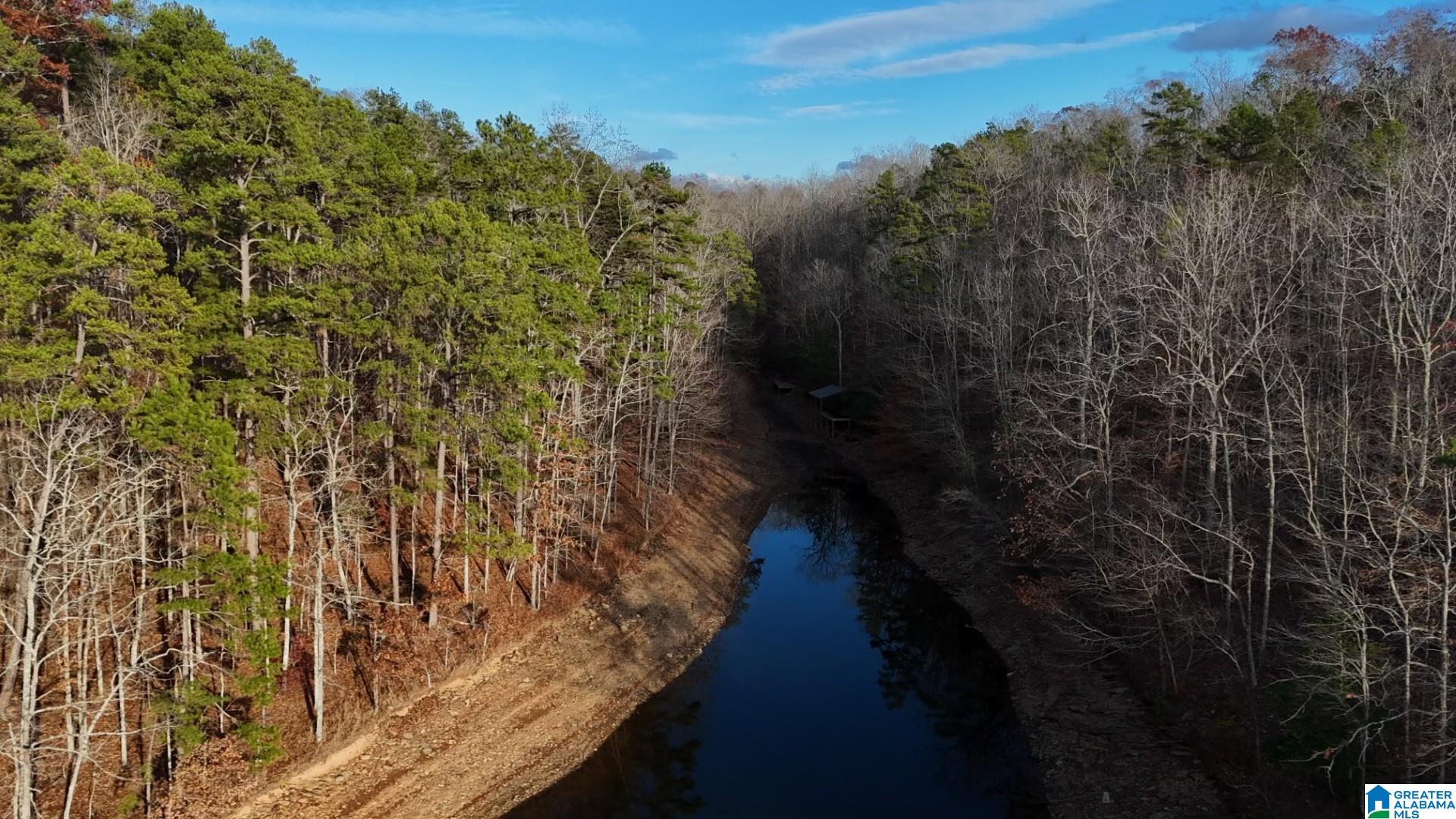 Homes for sale in Wedowee, AL | Ginhouse Point, Wedowee, AL 36278 | MLS# 21444183