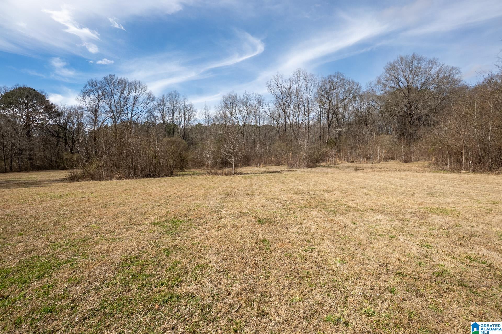 Homes for sale in Sylacauga, AL | 691 Marble City Heights Circle, Sylacauga, AL 35150 | MLS# 21444199