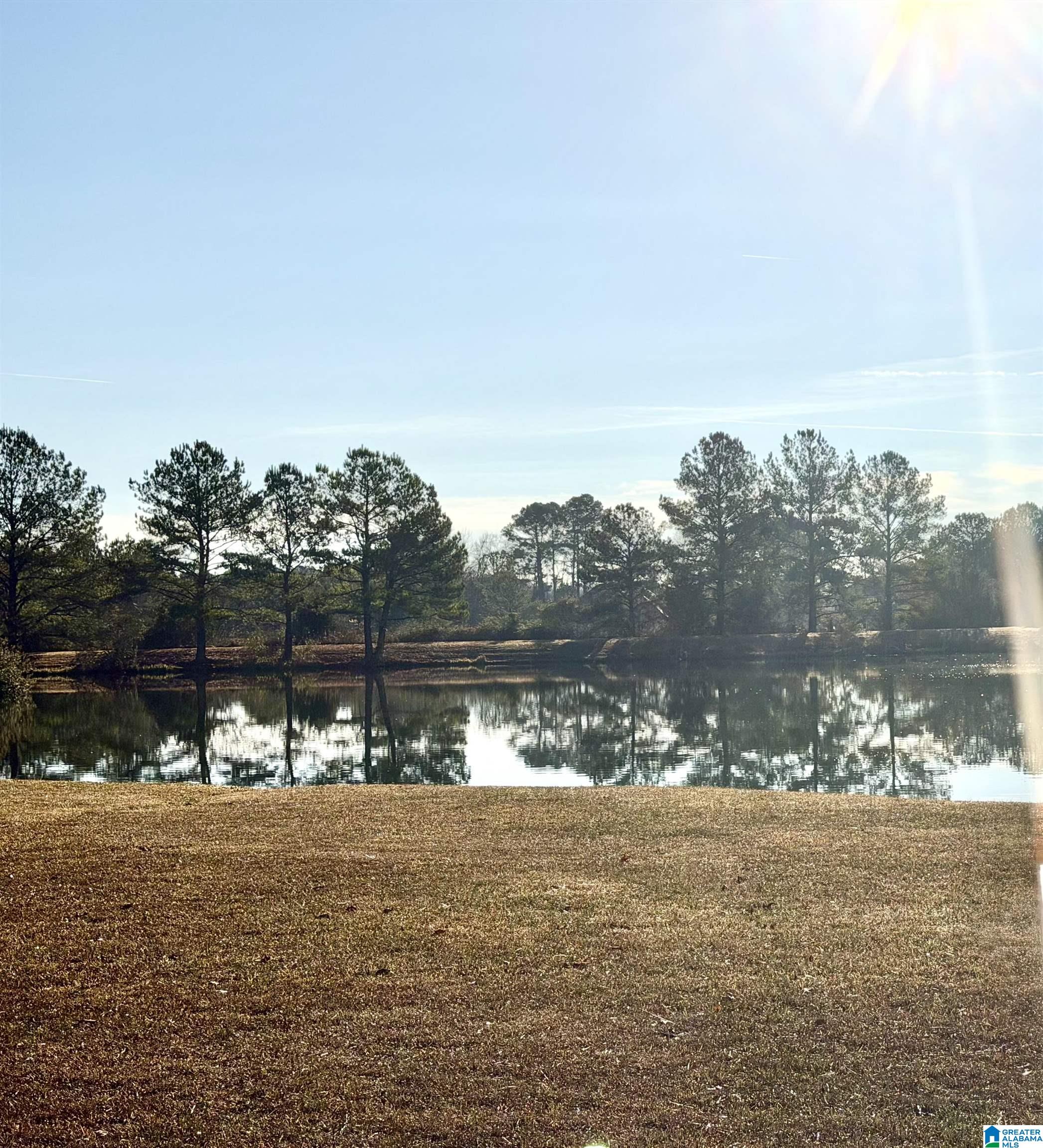 Homes for sale in Alabaster, AL | 233 Wynlake Dr, Alabaster, AL 35007 | MLS# 21444216