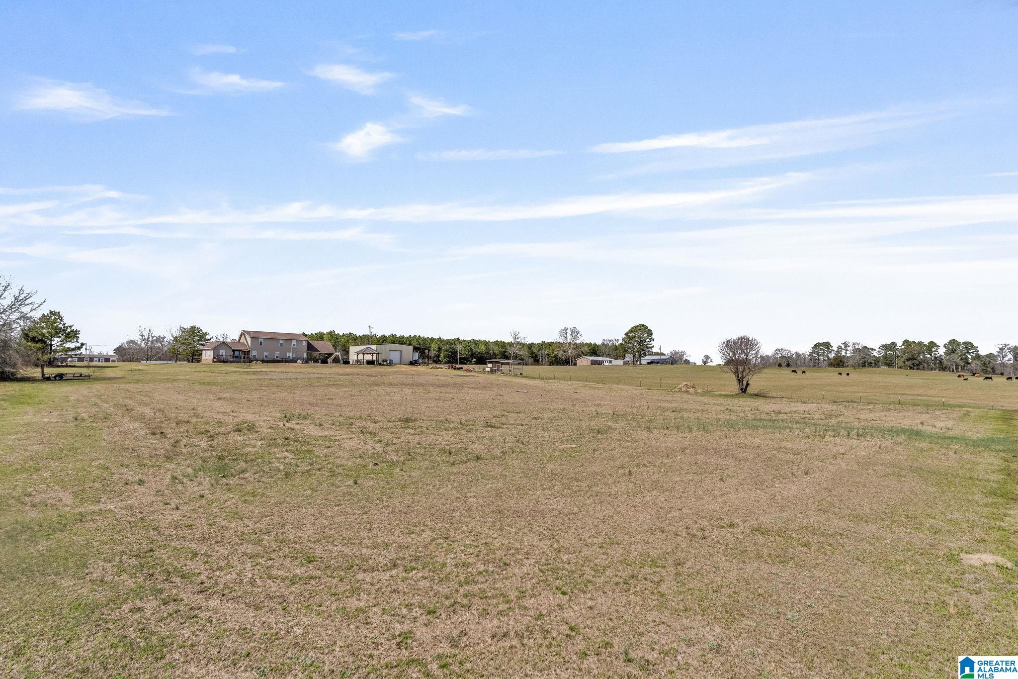 Homes for sale in Clanton, AL | 14305 County Road 37, Clanton, AL 35045 | MLS# 21444294