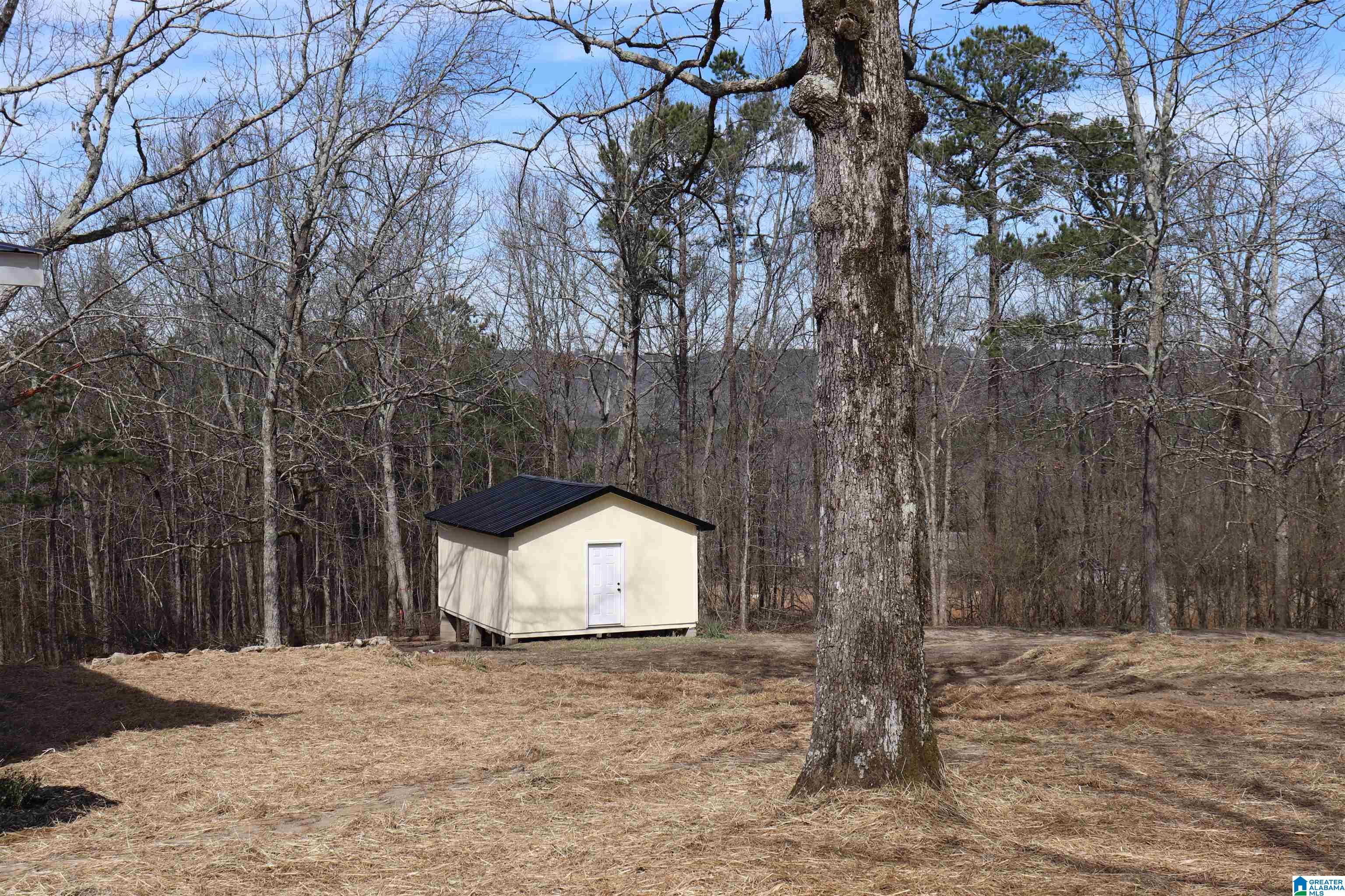 Homes for sale in Altoona, AL | 1560 Buzzard Rock Road, Altoona, AL 35952 | MLS# 21444317