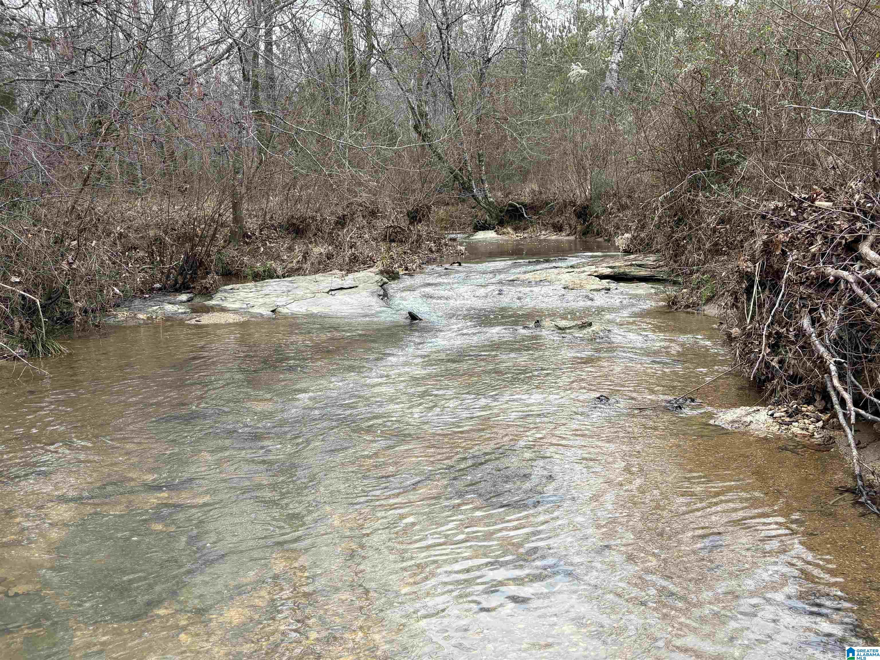 Homes for sale in Clanton, AL | 0 Mims Ferry Road, Clanton, AL 35046 | MLS# 21444333