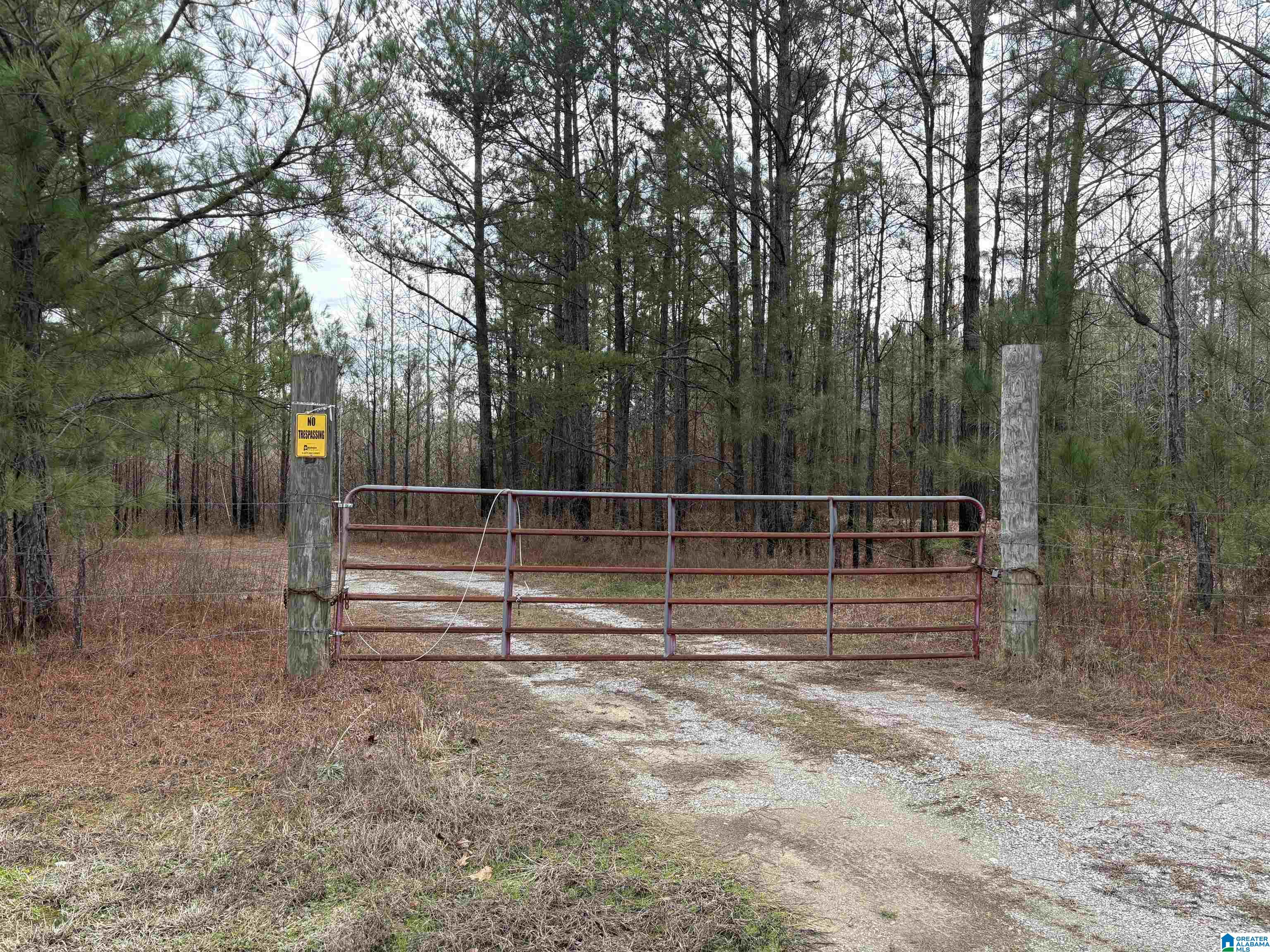 Homes for sale in Clanton, AL | 0 Mims Ferry Road, Clanton, AL 35046 | MLS# 21444333