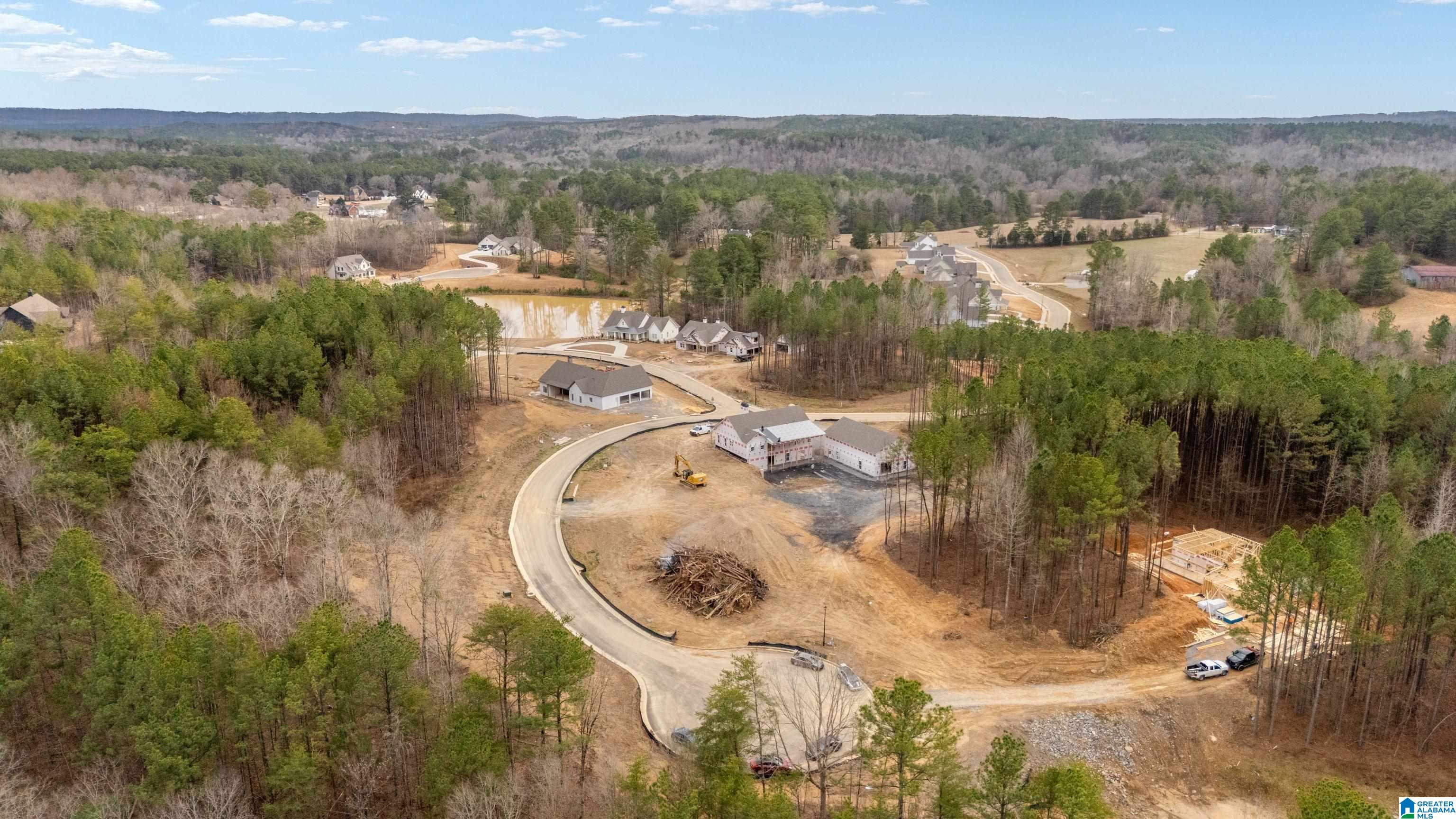 Homes for sale in Morris, AL | 7855 Brae Village Dr, Morris, AL 35116 | MLS# 21444337