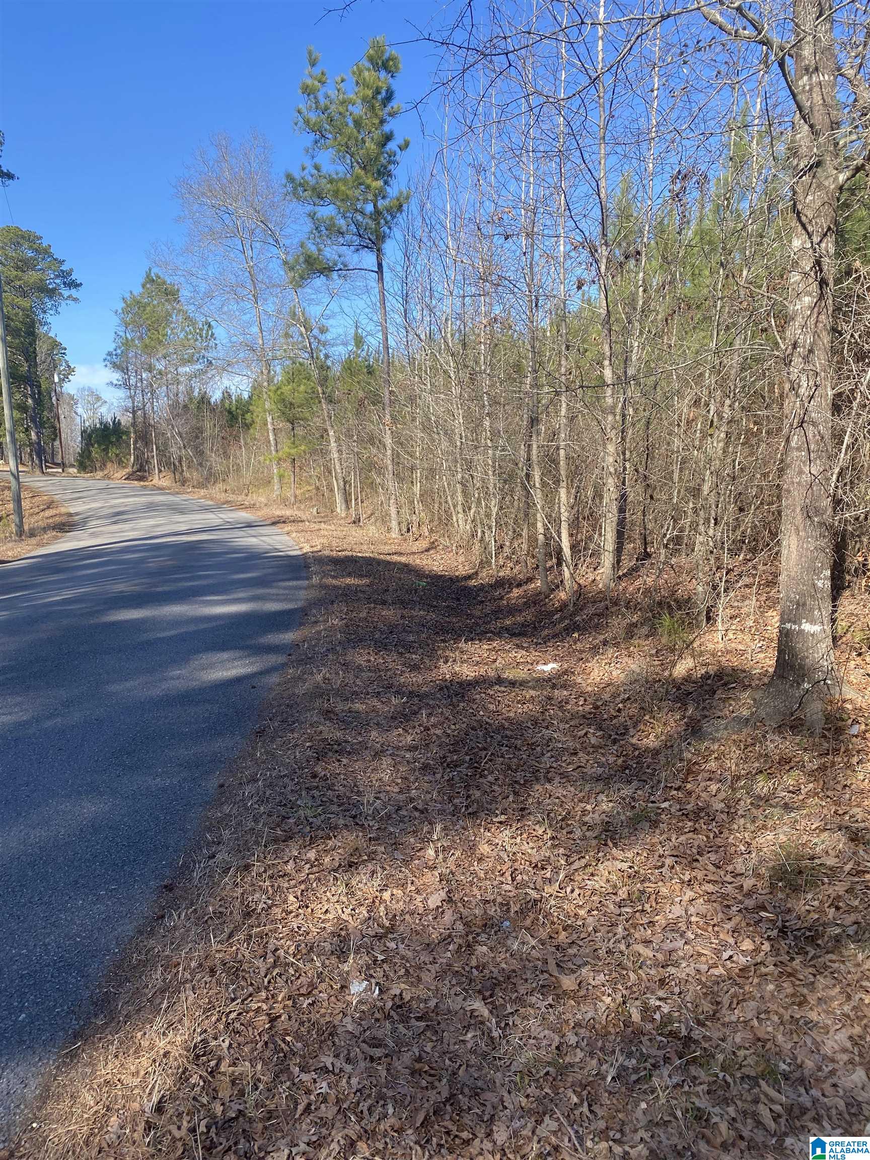 CENTER HILL ROAD