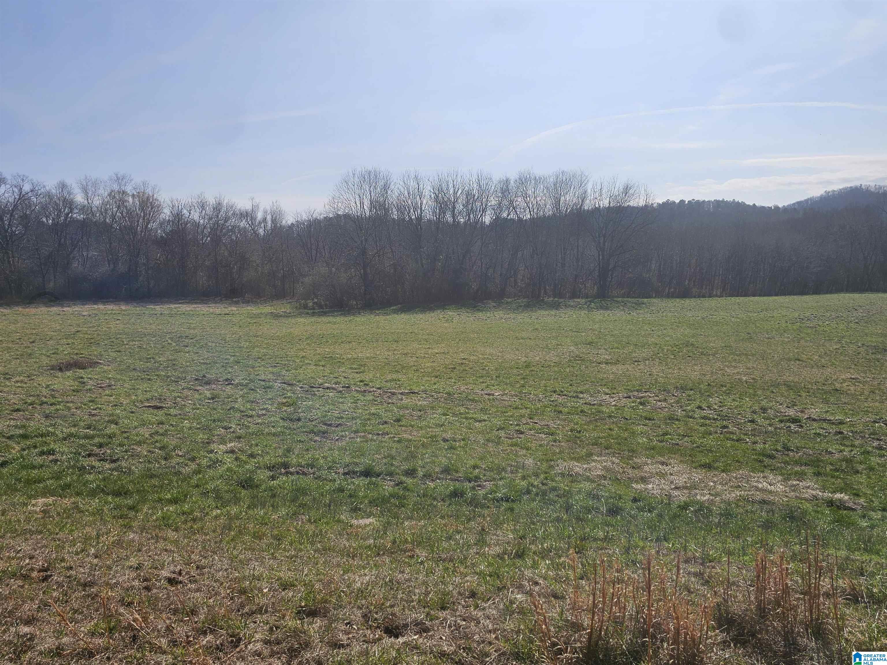 Homes for sale in Heflin, AL | 1150 River Road, Heflin, AL 36264 | MLS# 21444379