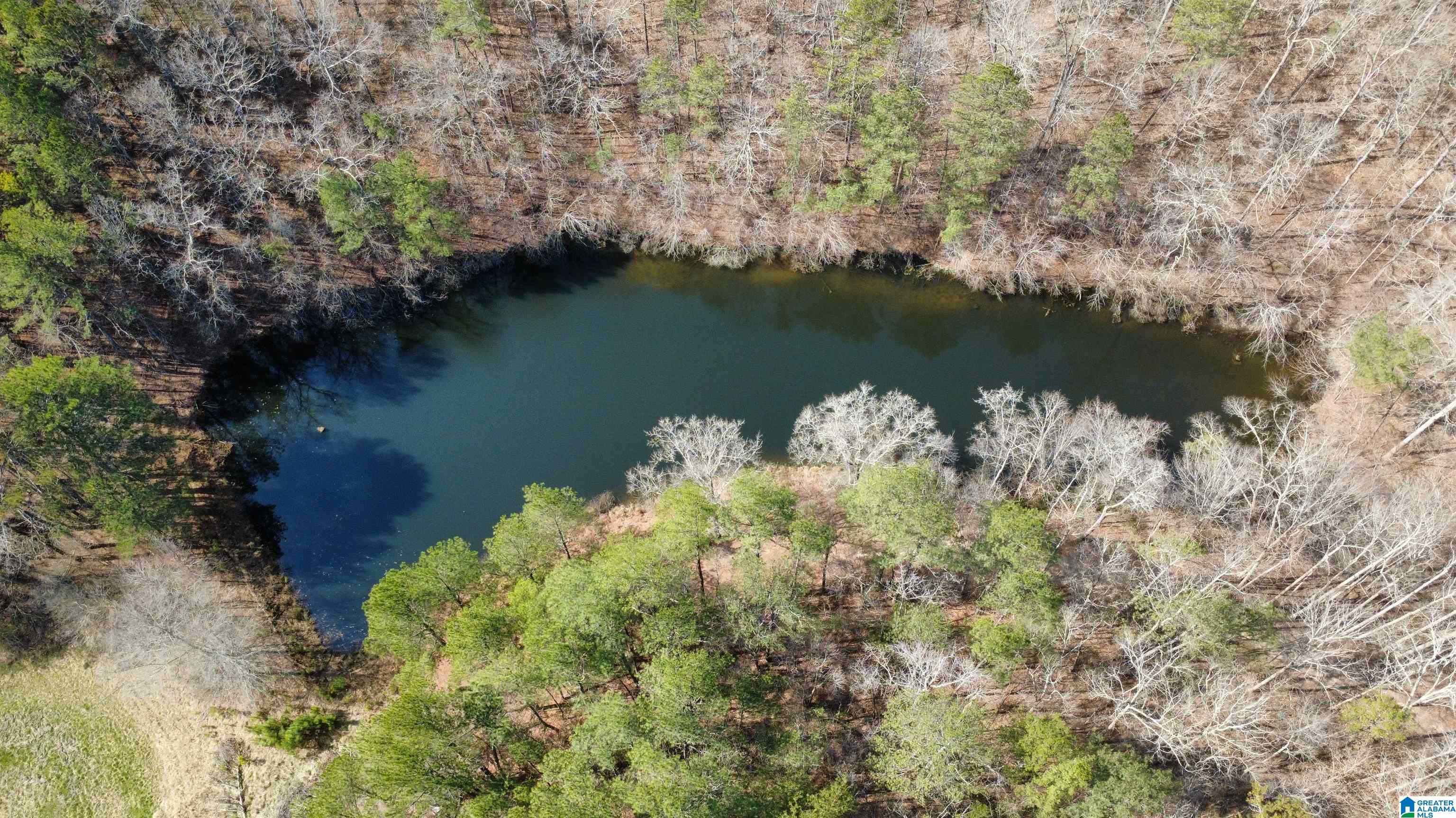 Homes for sale in Heflin, AL | 1150 River Road, Heflin, AL 36264 | MLS# 21444379