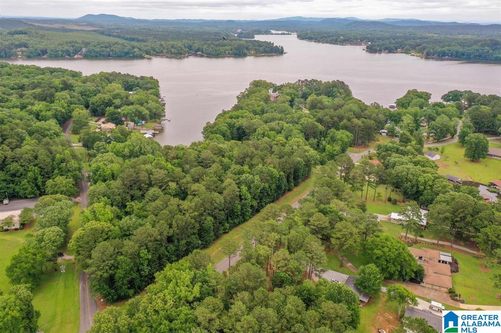 Homes for sale in Shelby, AL | Lot 1 Marina Road, Shelby, AL 35143 | MLS# 21444395