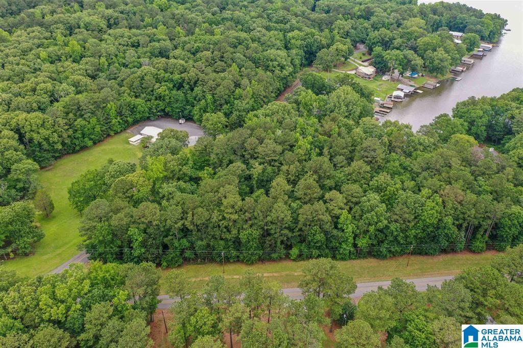 Homes for sale in Shelby, AL | Lot 1 Marina Road, Shelby, AL 35143 | MLS# 21444395