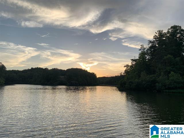 Homes for sale in Jemison, AL | 1107 County Road 1006, Jemison, AL 35085 | MLS# 21444405