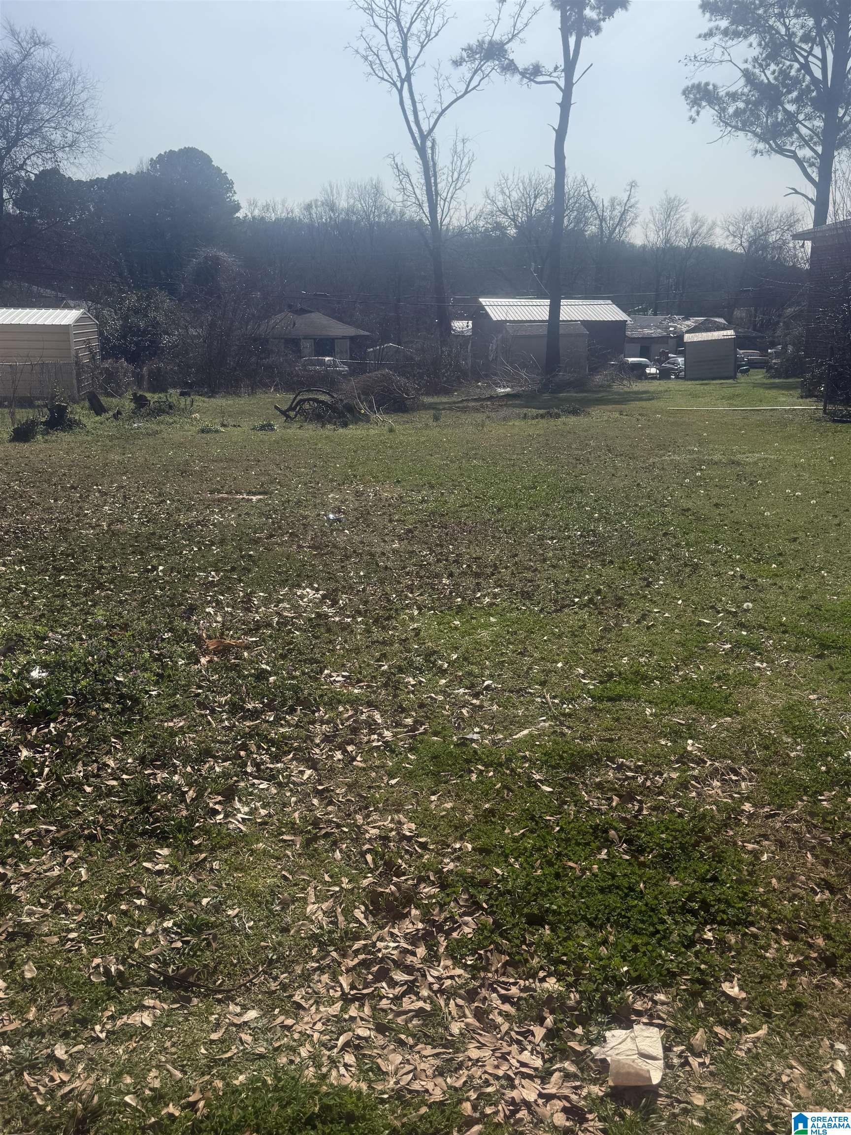 Photo 3 of Land for sale at 3717 Grasselli Ave Sw, Birmingham, AL 35221 | MLS# 21444407 | Listing updated on 2026-02-23