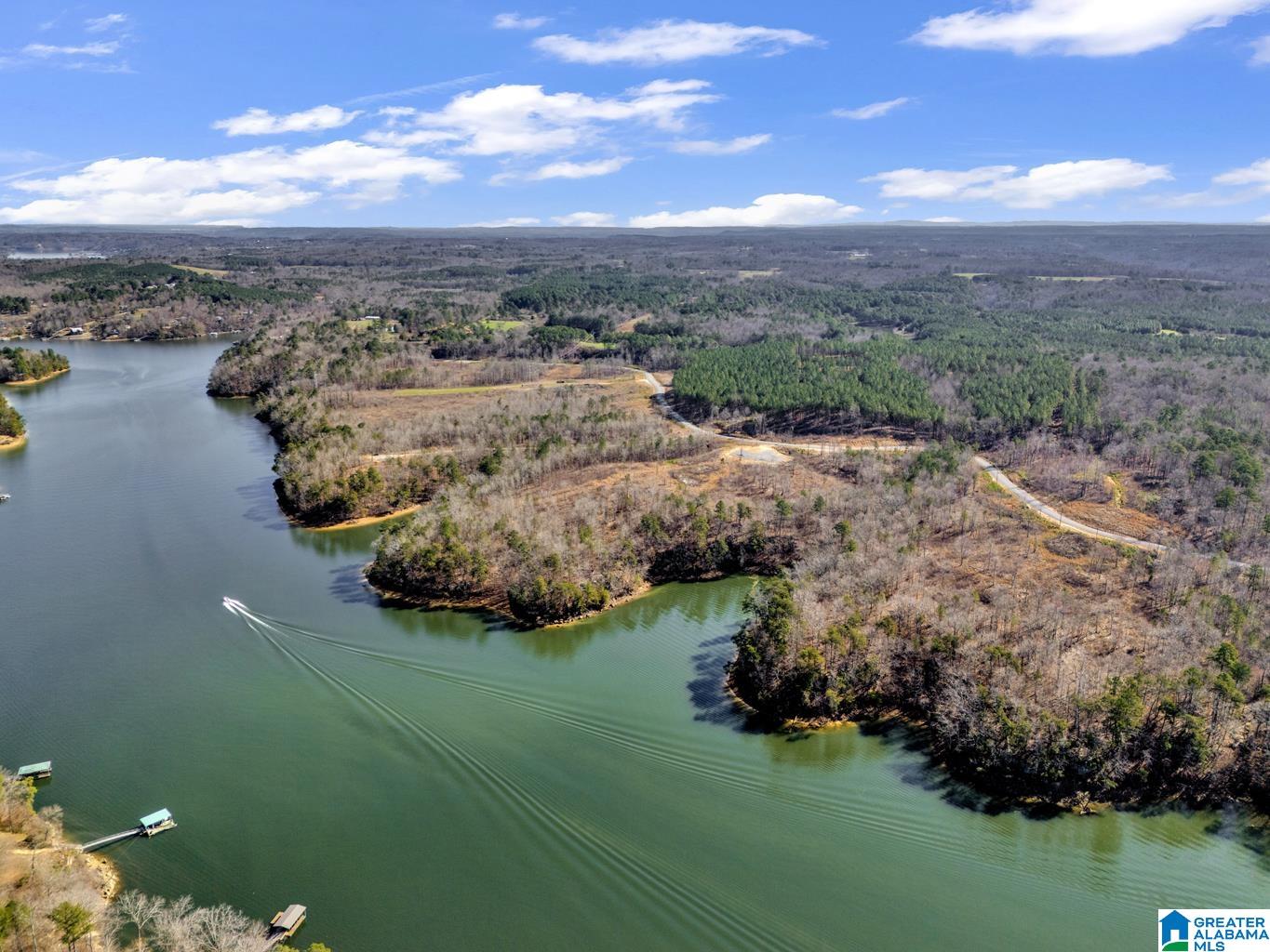 Homes for sale in Bremen, AL | 0 County Road 102, Bremen, AL 35033 | MLS# 21444410