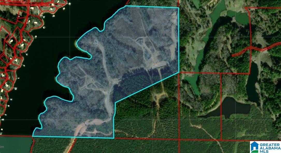 Homes for sale in Bremen, AL | 0 County Road 102, Bremen, AL 35033 | MLS# 21444410