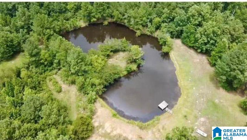 33rd image of 4333 Creek Trace, Bessemer, AL 35022 | MLS# 21444439