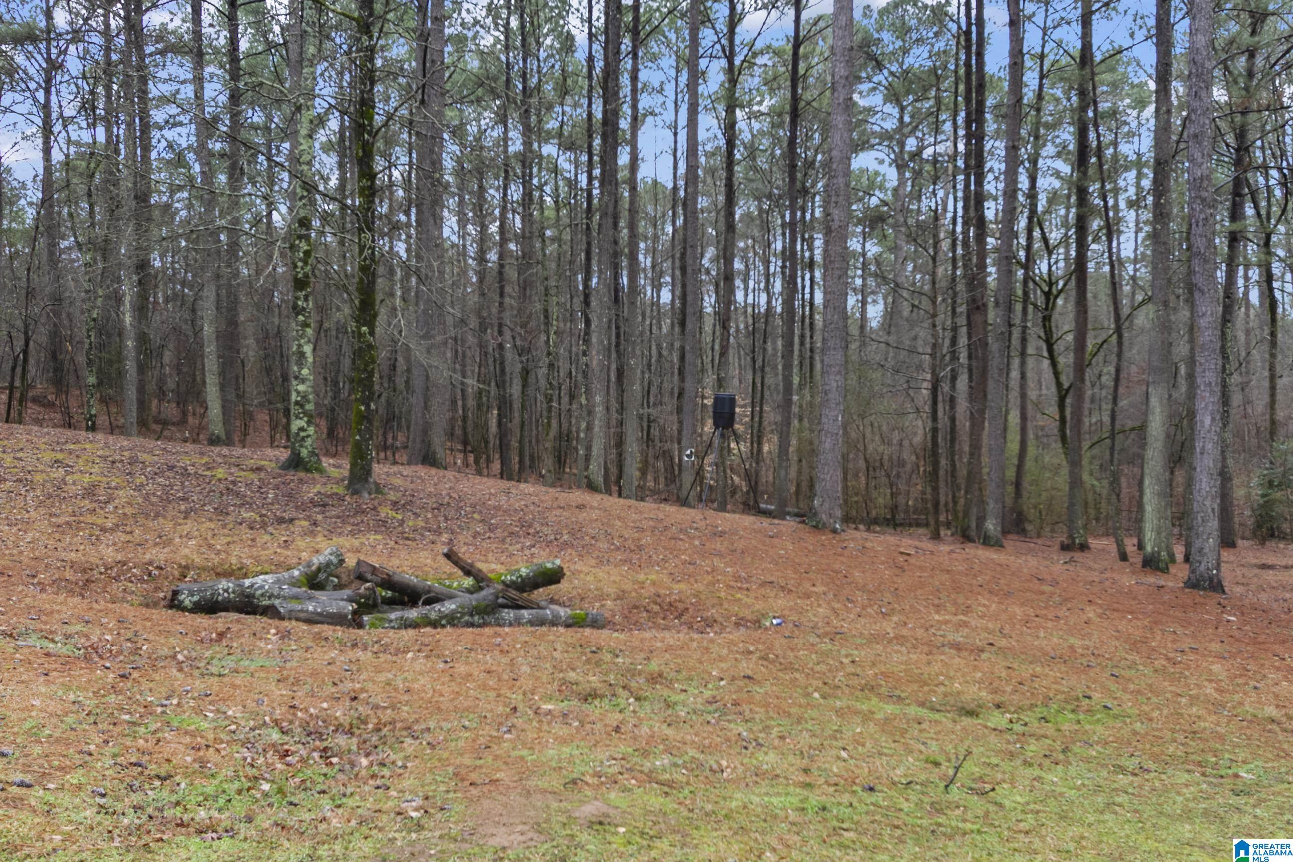 Homes for sale in Helena, AL | 7030 Hwy 30, Helena, AL 35080 | MLS# 21444453