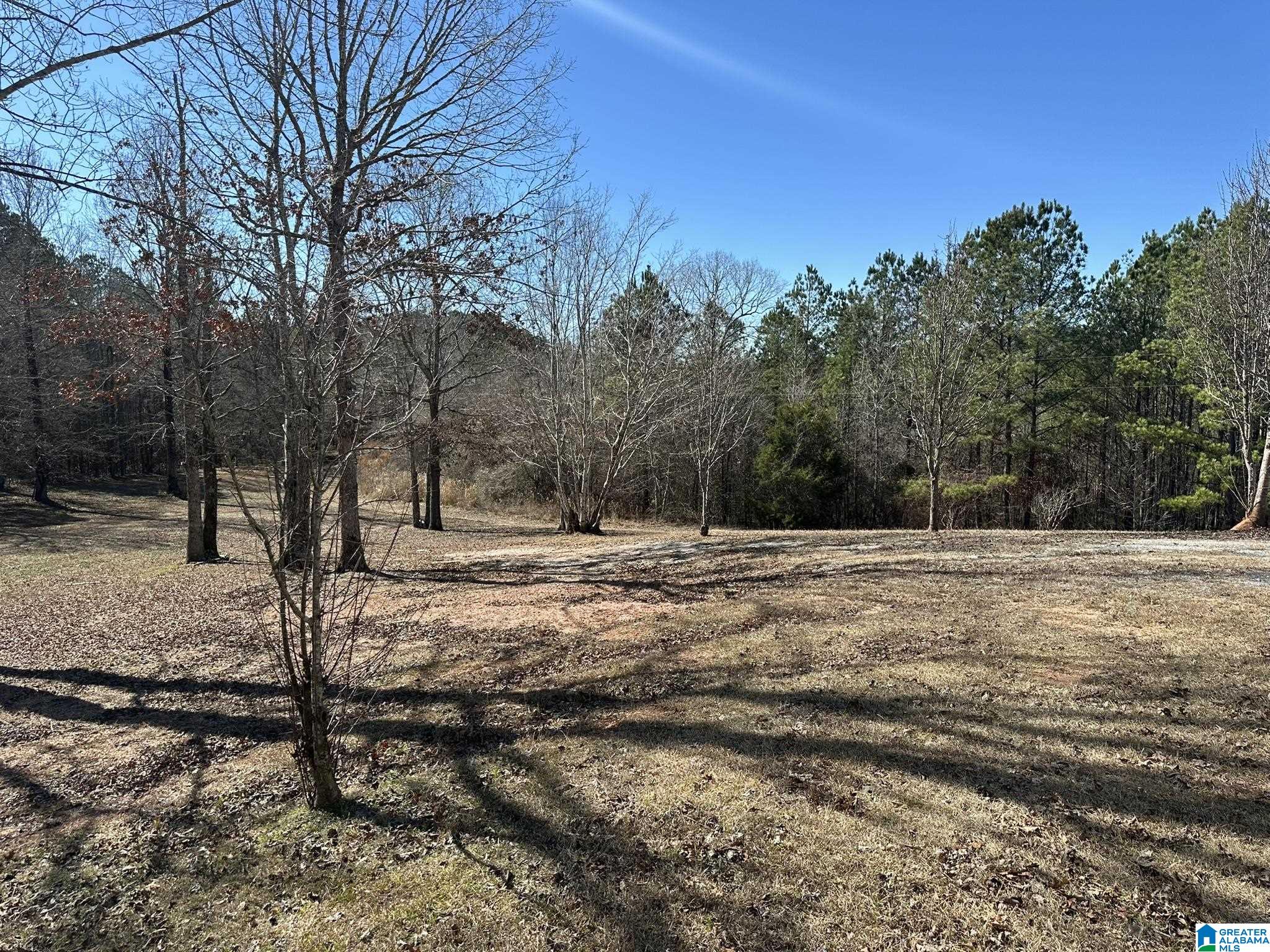 Homes for sale in Sylacauga, AL | 2953 E Marble Valley Road, Sylacauga, AL 35151 | MLS# 21444467