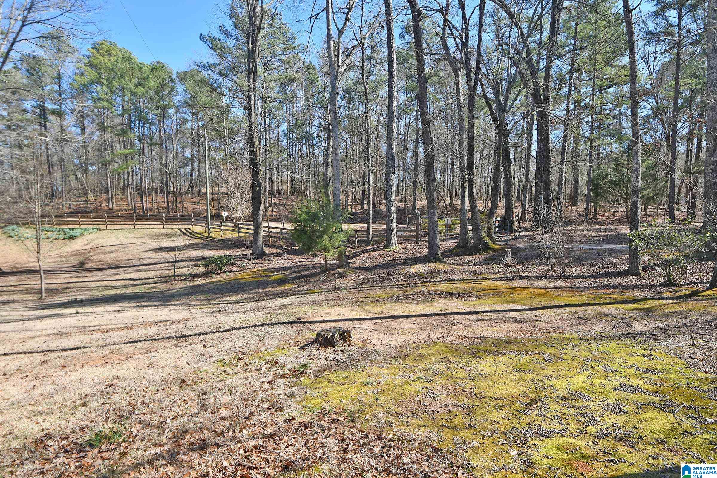 Homes for sale in Wedowee, AL | 1424 County Road 275, Wedowee, AL 36278 | MLS# 21444485