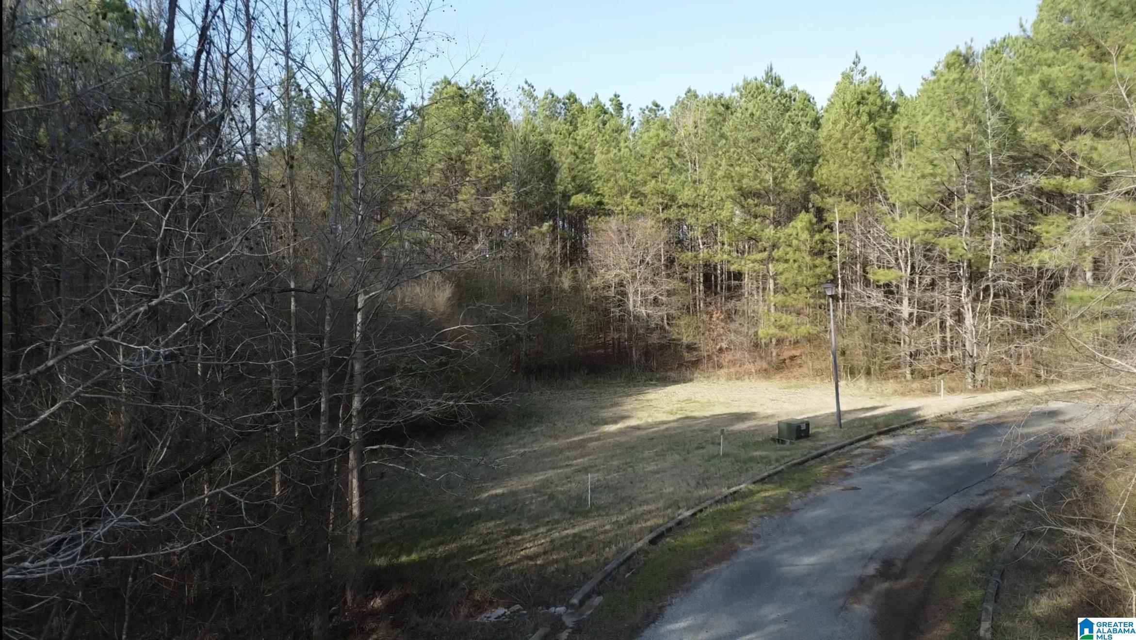 Homes for sale in Lincoln, AL | 0 Willow Creek Dr, Lincoln, AL 35096 | MLS# 21444495