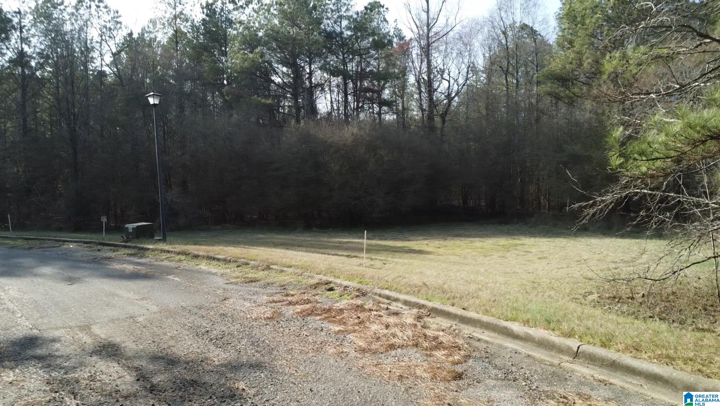 Homes for sale in Lincoln, AL | 0 Willow Creek Dr, Lincoln, AL 35096 | MLS# 21444495