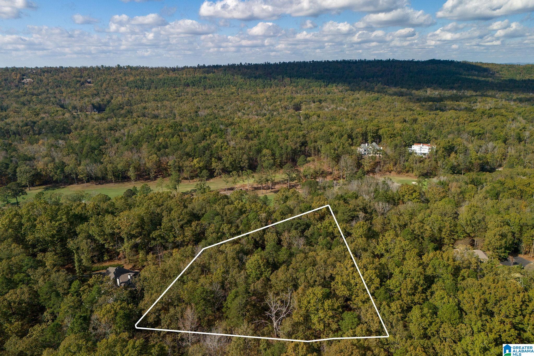 Homes for sale in Birmingham, AL | 3 Baltusrol Court, Birmingham, AL 35242 | MLS# 21444528