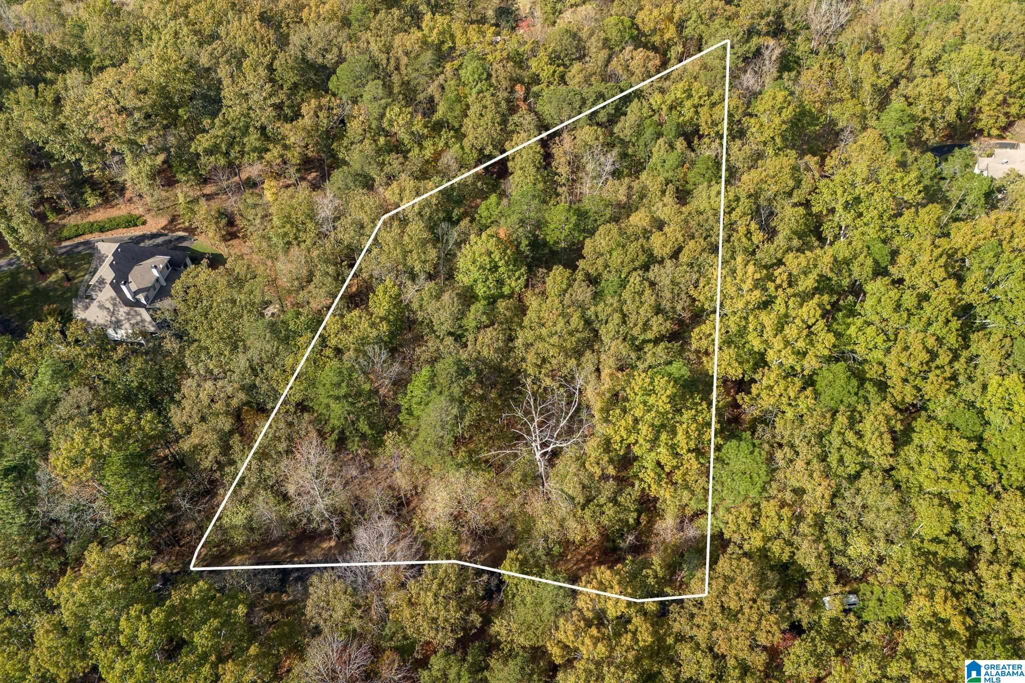 Homes for sale in Birmingham, AL | 3 Baltusrol Court, Birmingham, AL 35242 | MLS# 21444528