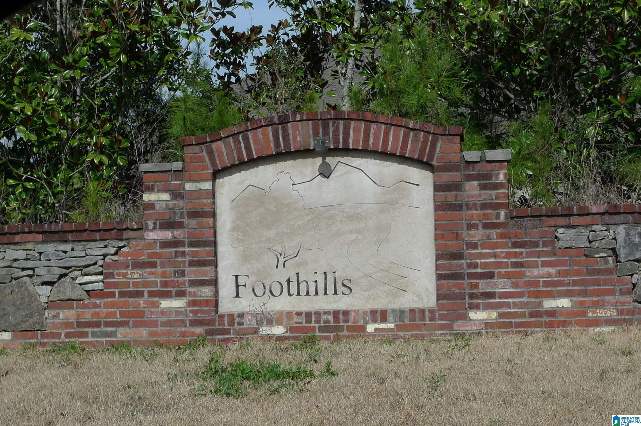 307 FOOTHILLS DRIVE