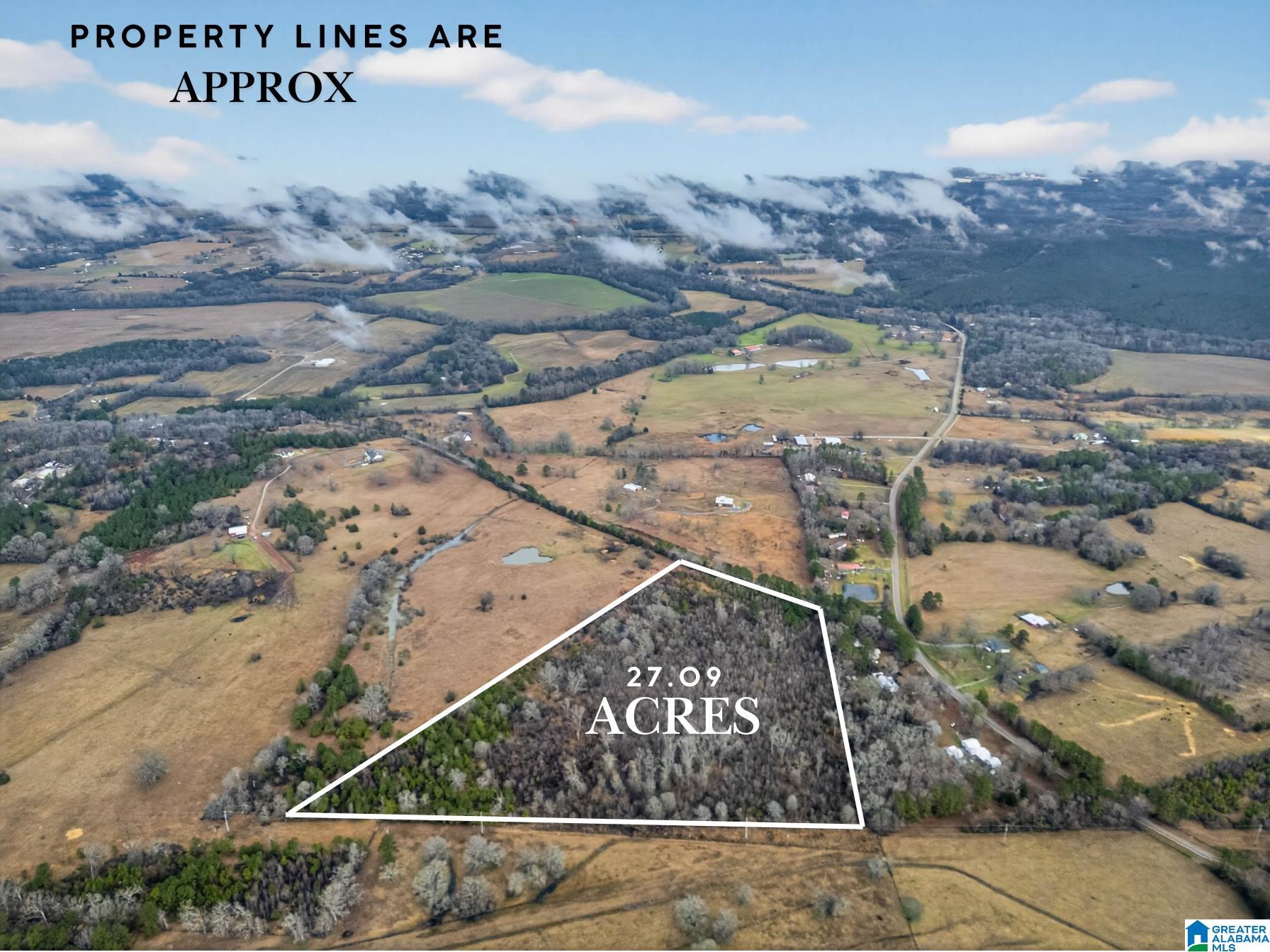 Homes for sale in Munford, AL | 0 Turner Mill Road E, Munford, AL 36268 | MLS# 21444577