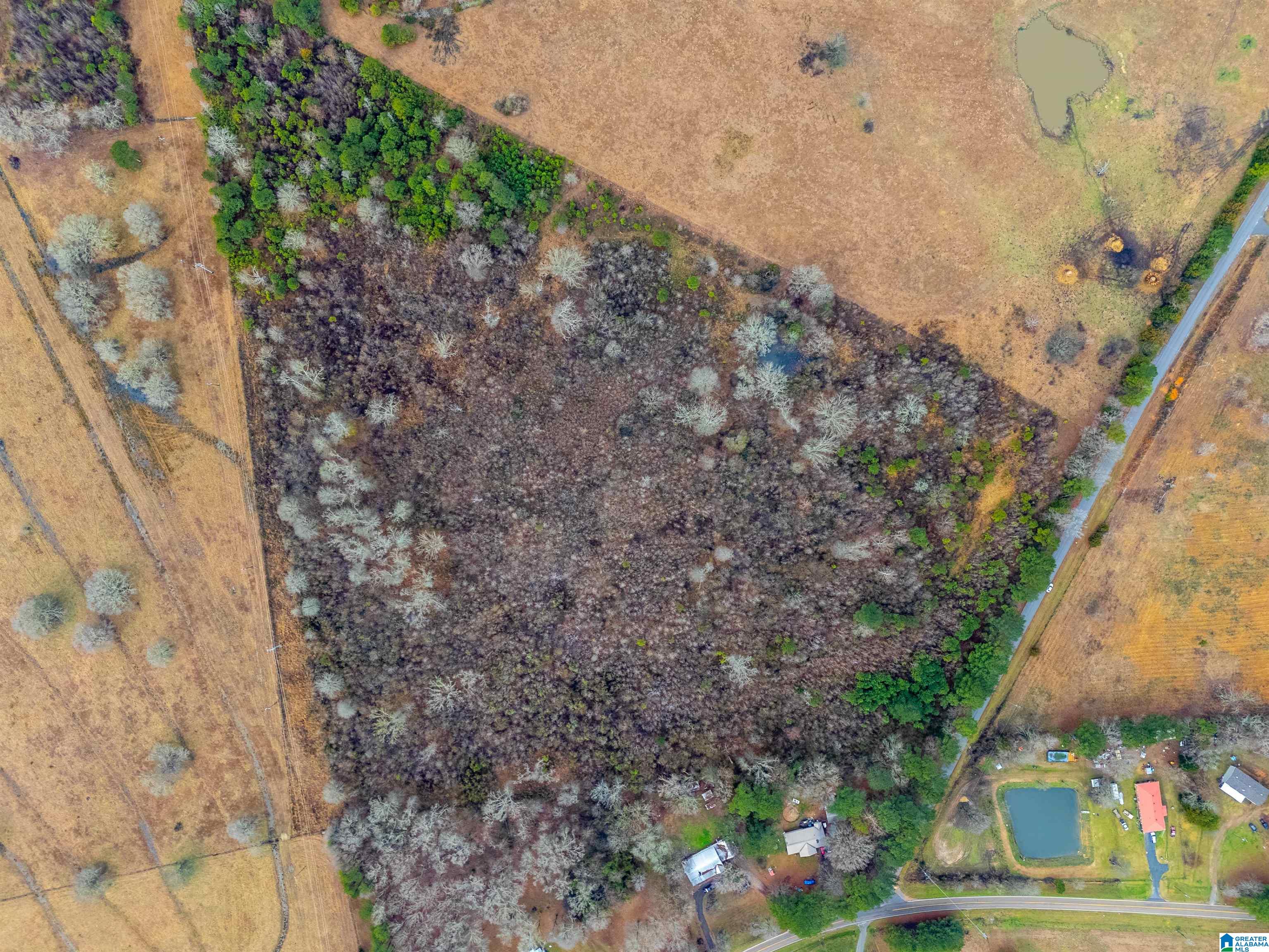 Homes for sale in Munford, AL | 0 Turner Mill Road E, Munford, AL 36268 | MLS# 21444577