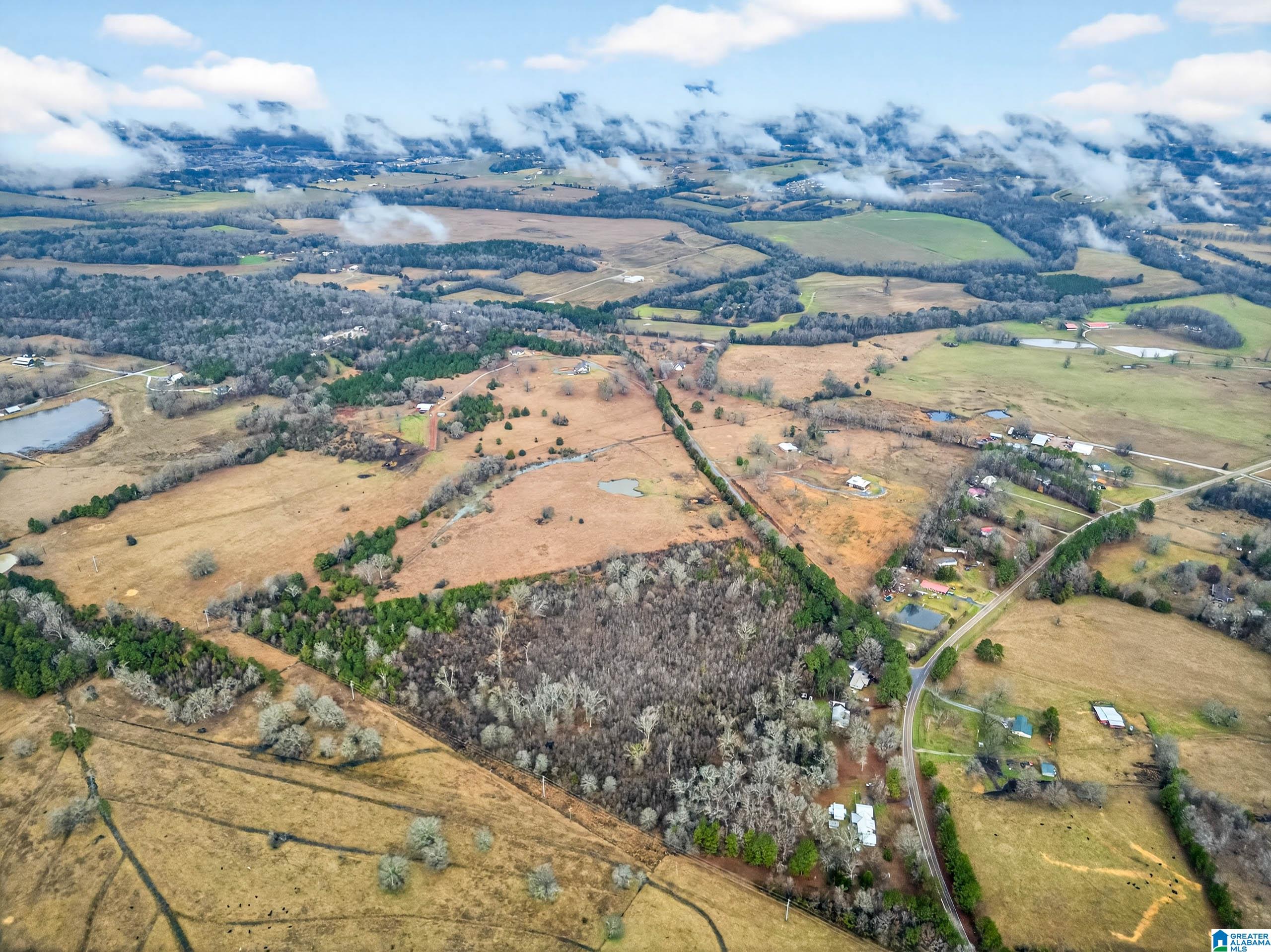 Homes for sale in Munford, AL | 0 Turner Mill Road E, Munford, AL 36268 | MLS# 21444577