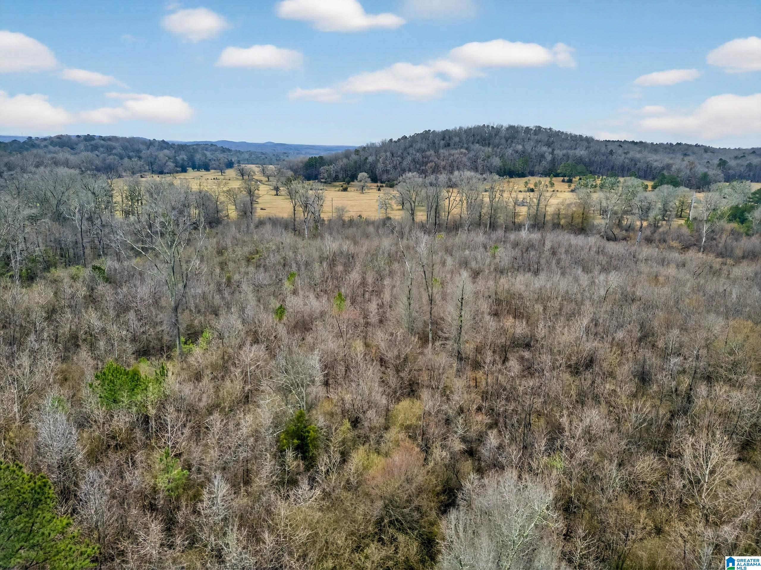 Homes for sale in Munford, AL | 0 Turner Mill Road E, Munford, AL 36268 | MLS# 21444577